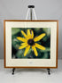 Framed "Black-Eyed Susan" Photograph 27x24 *Cracked Frame*