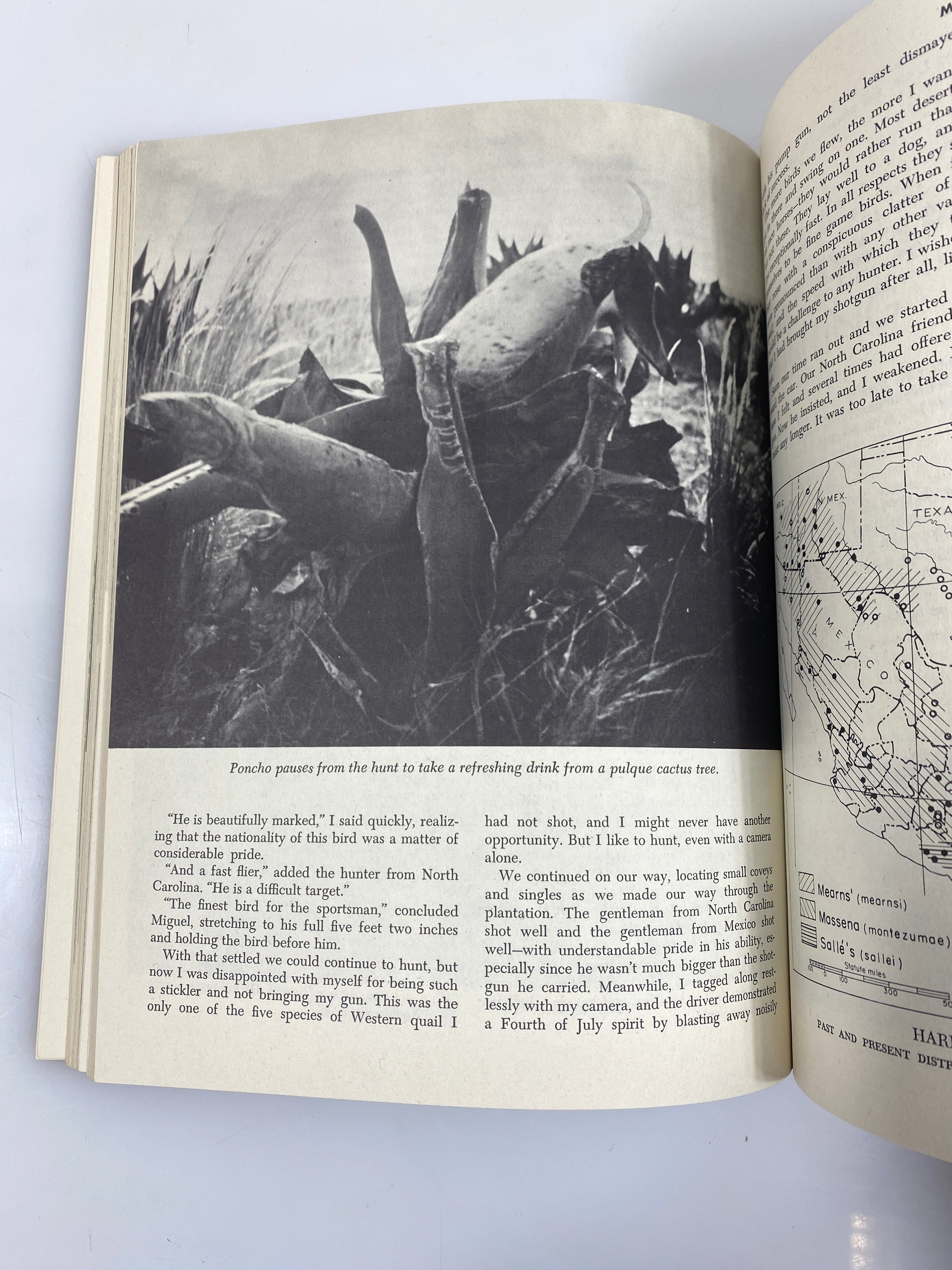 Set of 3 Hunter's Bible: The Deer, Upland Game, Varmint and Crow Slipcase SC