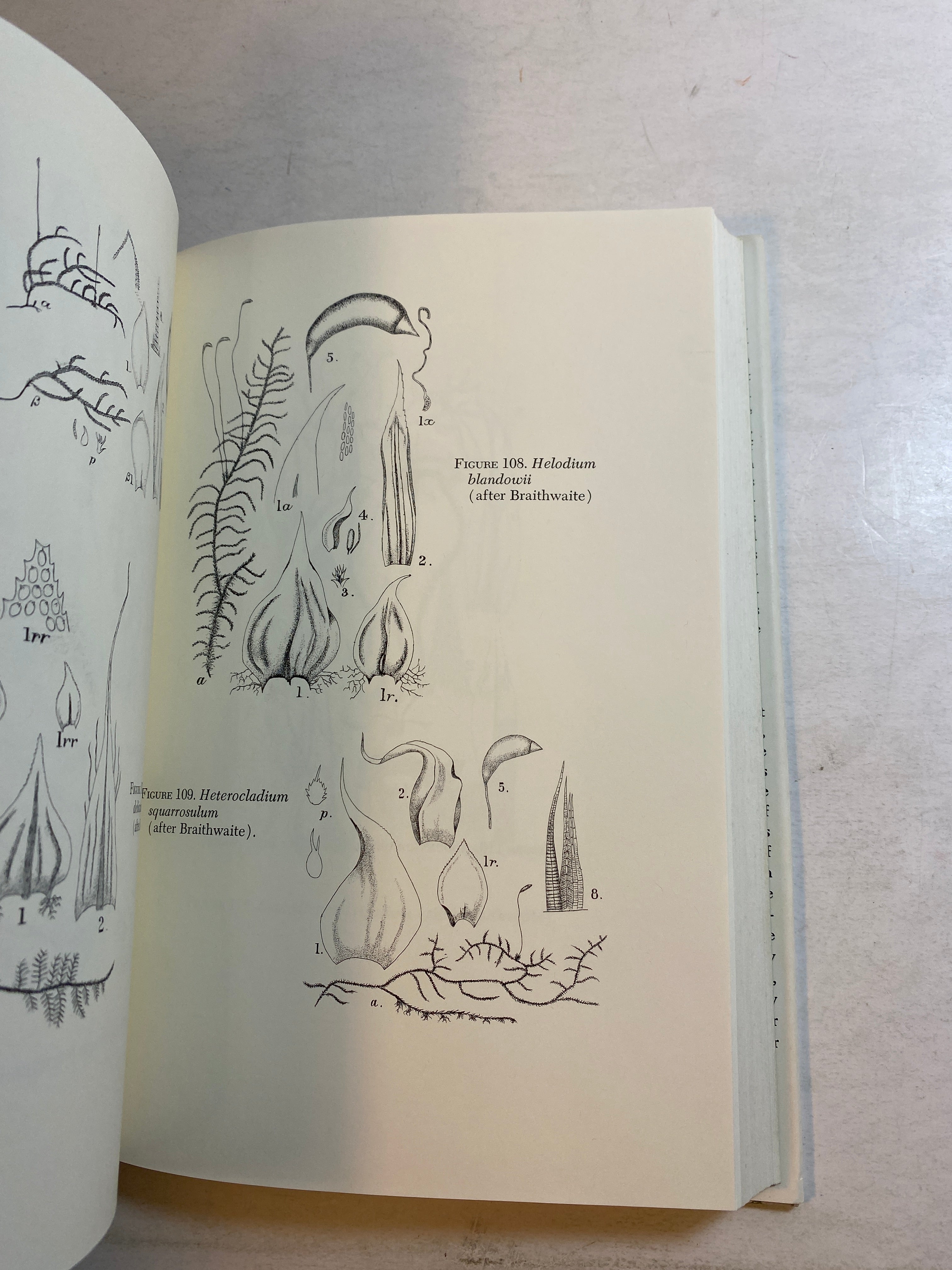 The Mosses of Michigan Henry Darlington HCDJ 1964