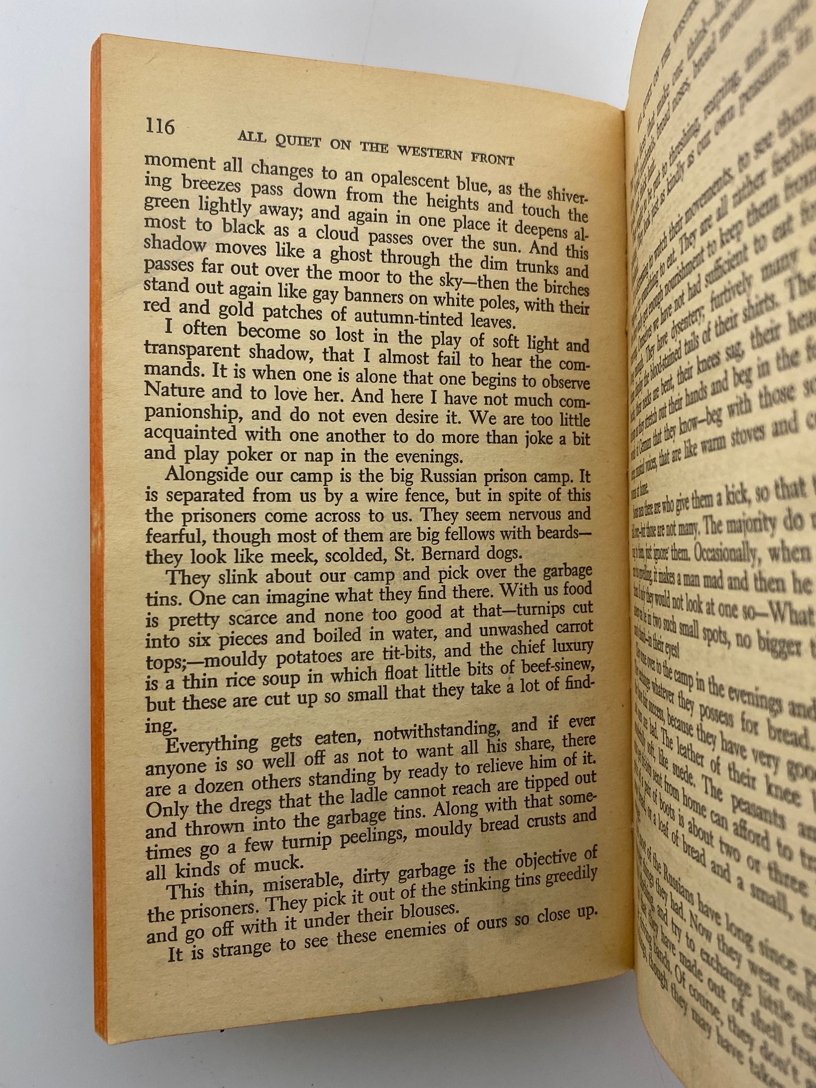 All Quiet on the Western Front by Remarque Fawcett Publications 1965 SC