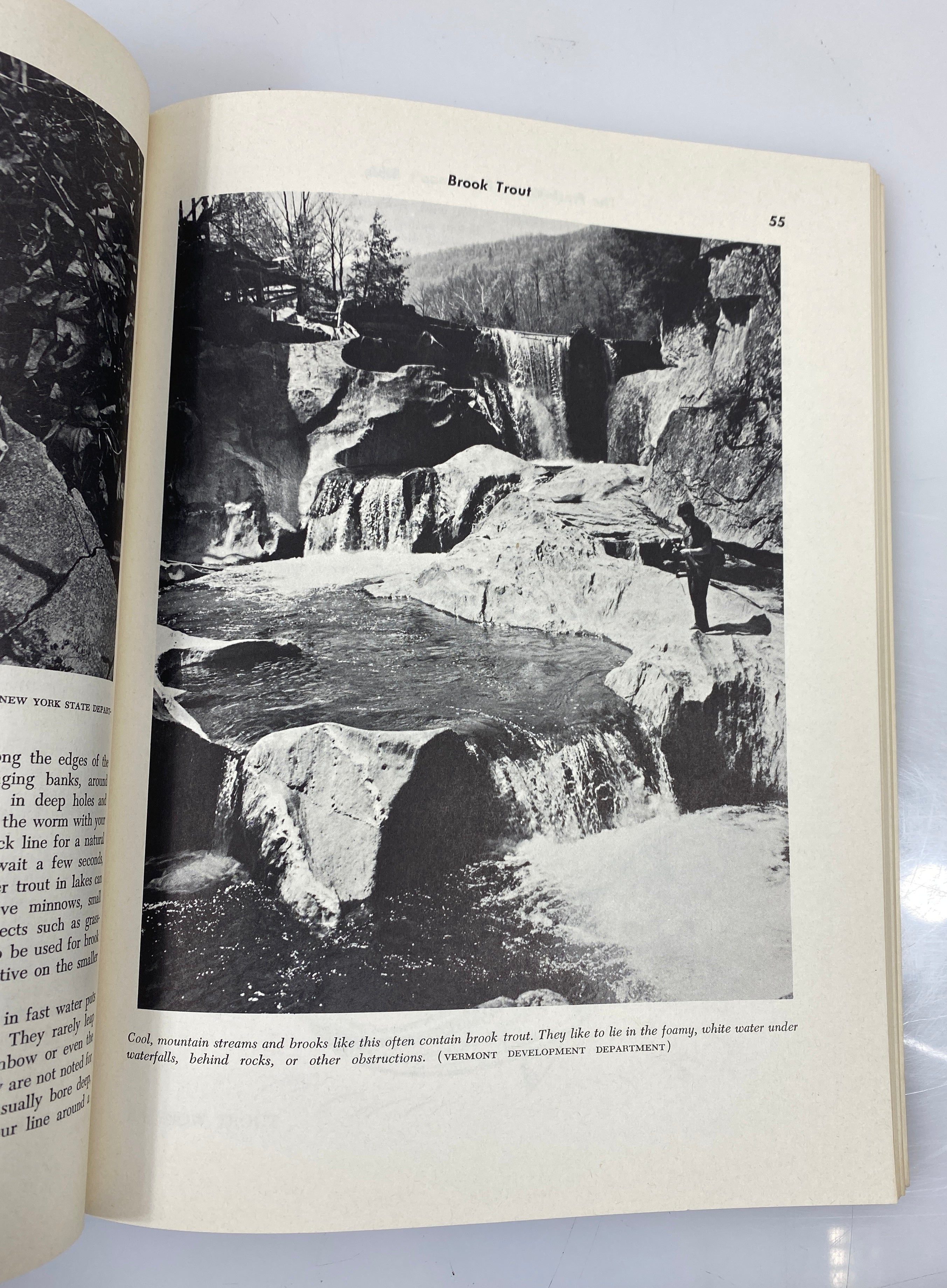 Set of 3: The Campers, Gunner's, Freshwater Fisherman's Bible Slipcase SC