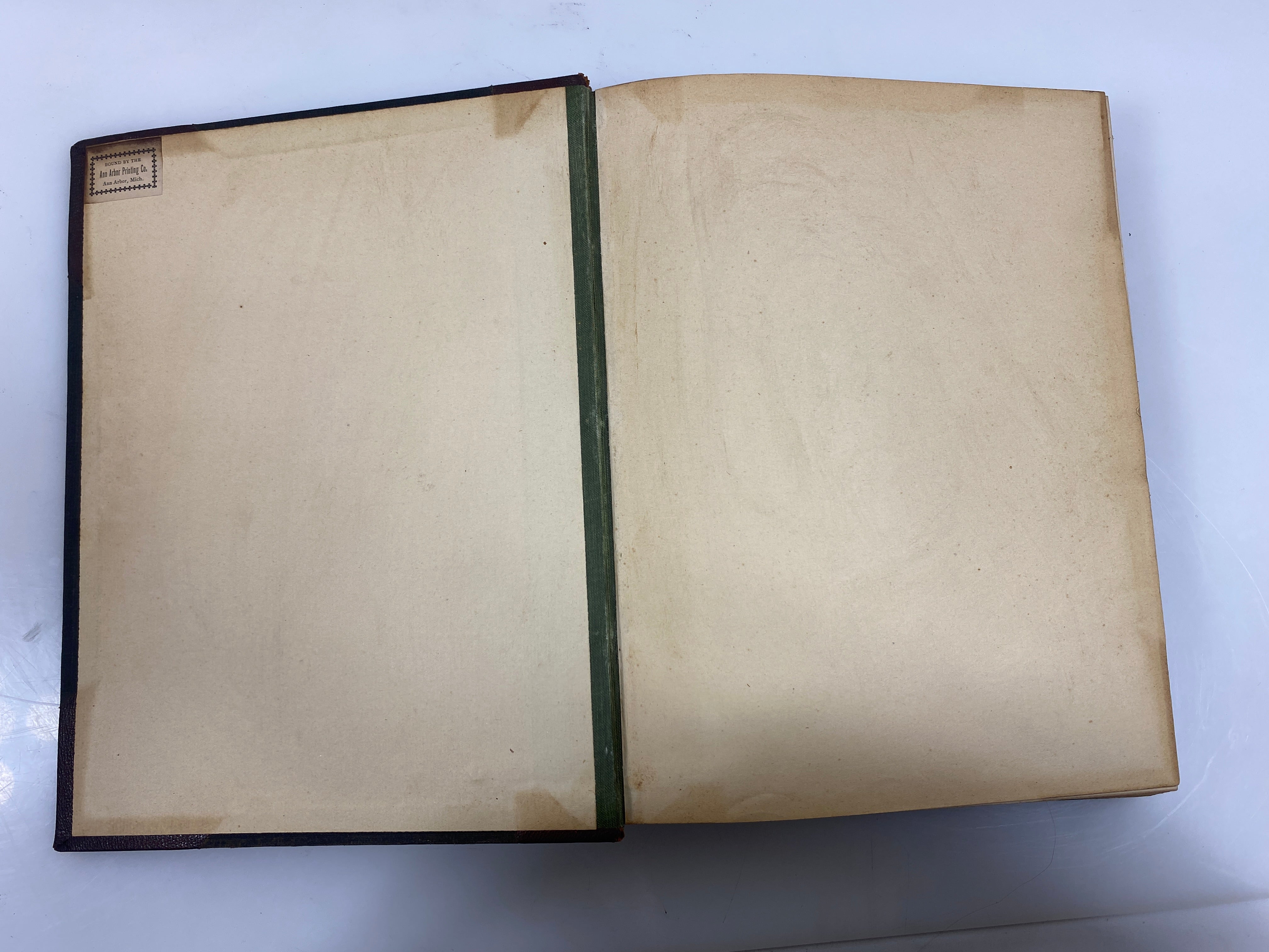 Illustrated Skin Diseases: An Atlas and Text-Book by Gottheil 1899 HC