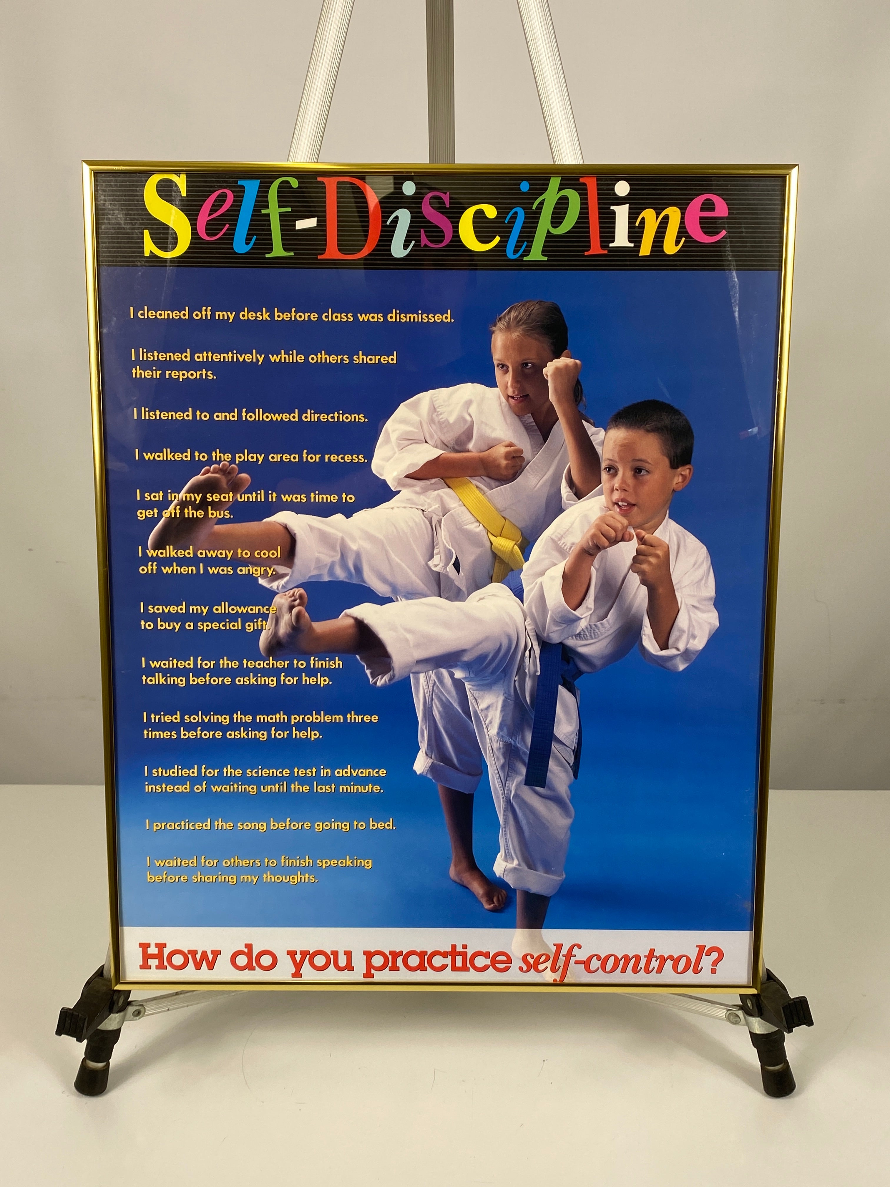 Framed "Self-Discipline" Poster 21x17