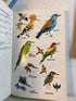 Lot of 3 Peterson Bird Guides 1980-1993