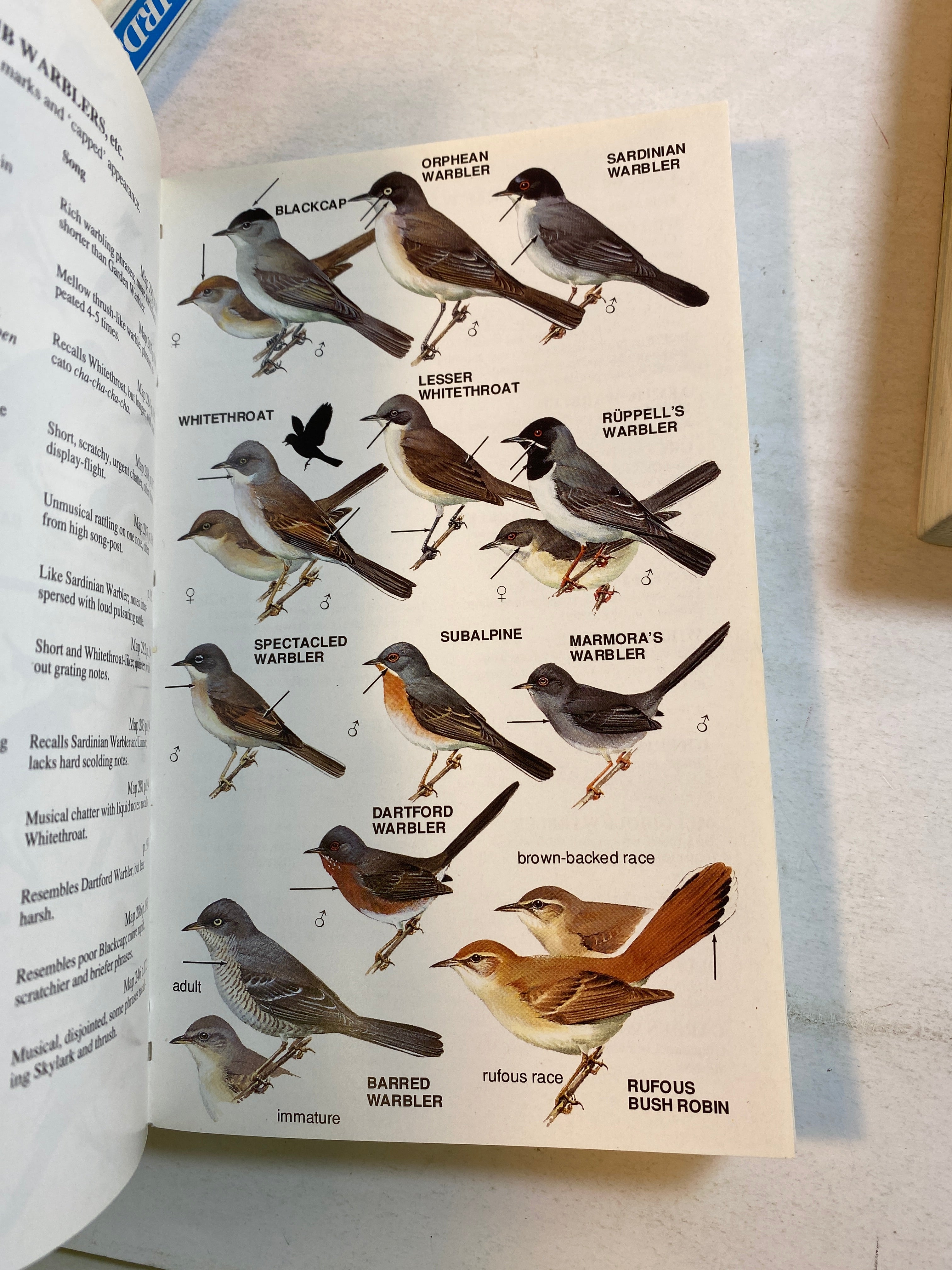 Lot of 3 Peterson Bird Guides 1980-1993