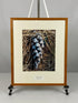 Framed "White Pine Cone" Photograph 22x18