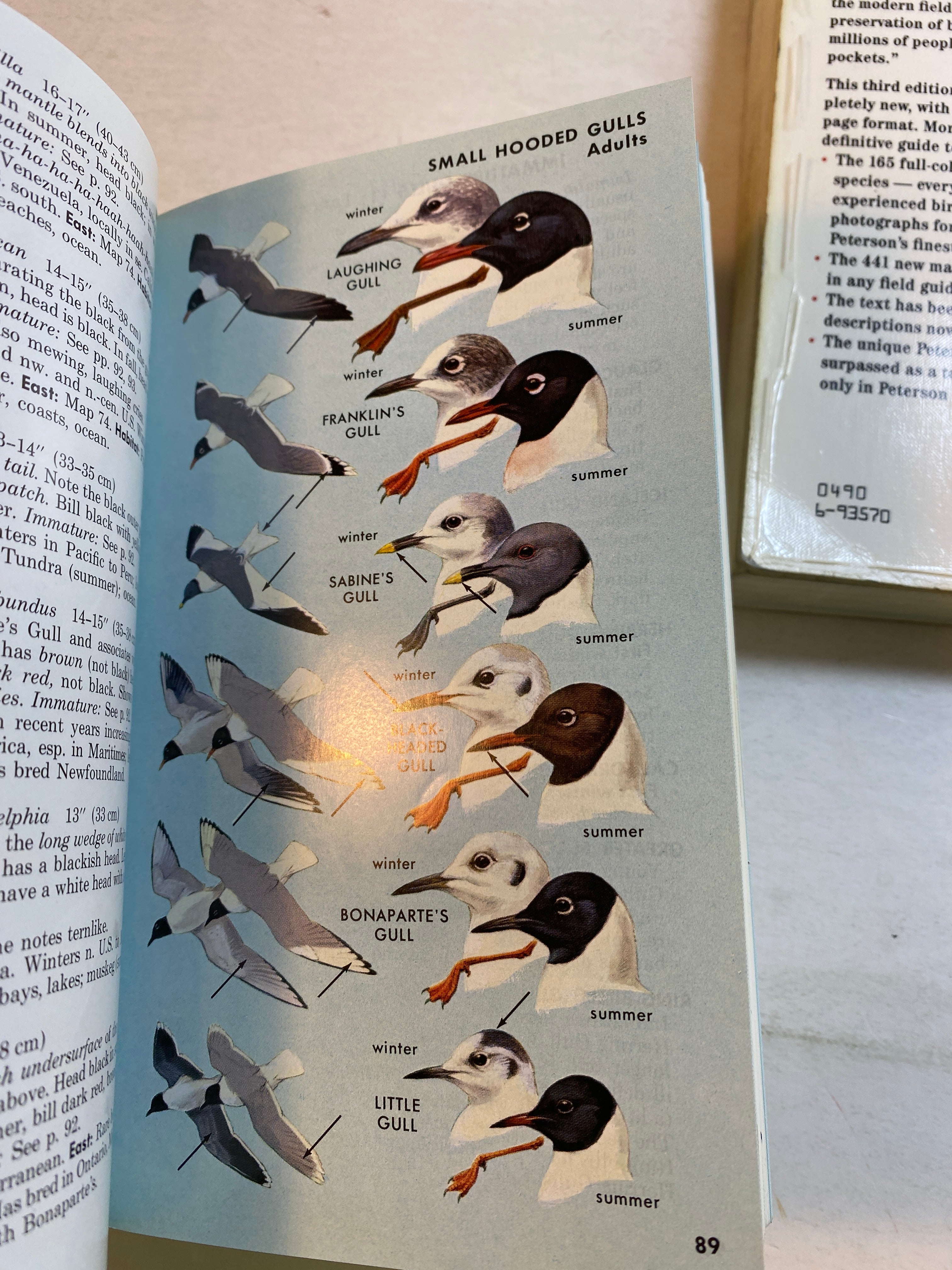 Lot of 3 Peterson Bird Guides 1980-1993