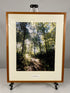 Framed "Trail in the Woods" Photograph 28x23