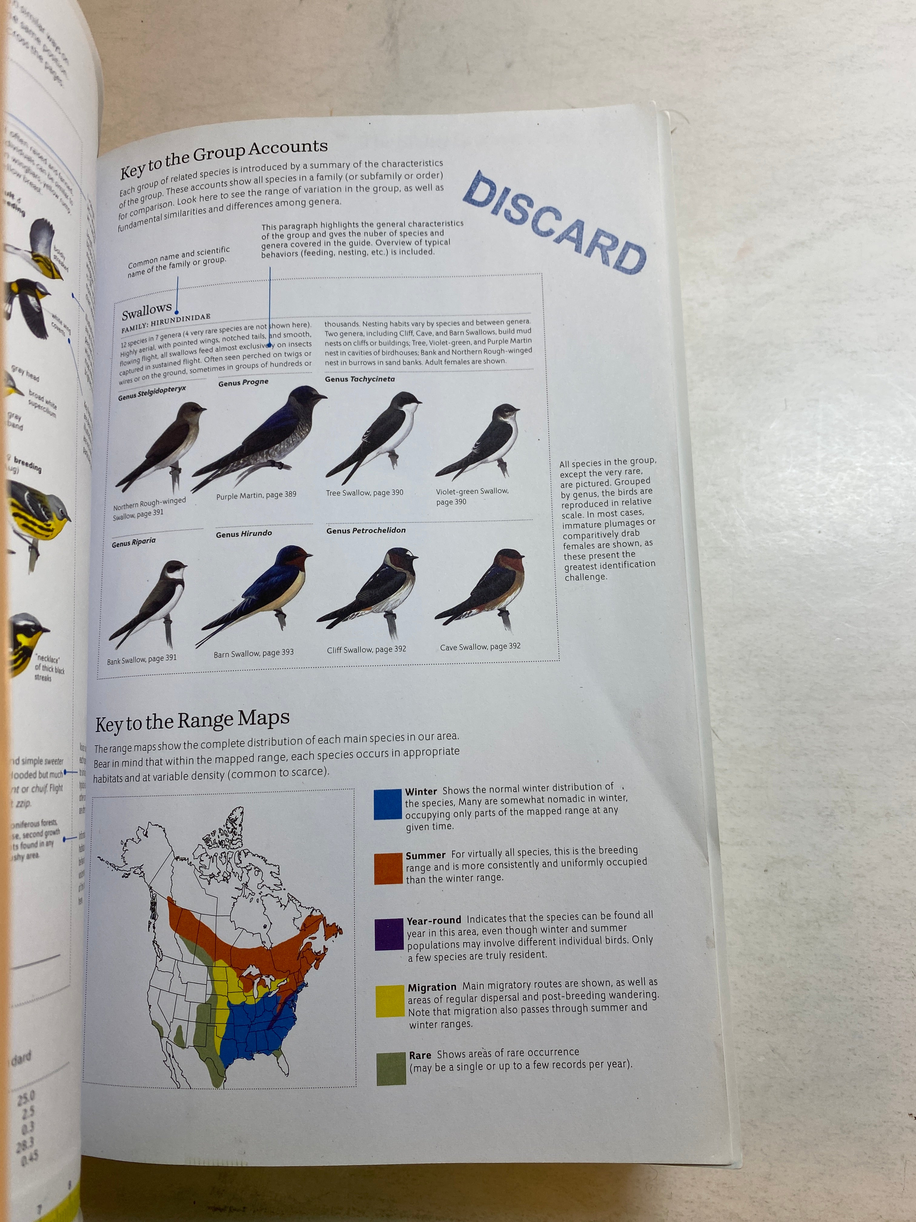 Lot of 2 Sibley Birds Books 2002-2014