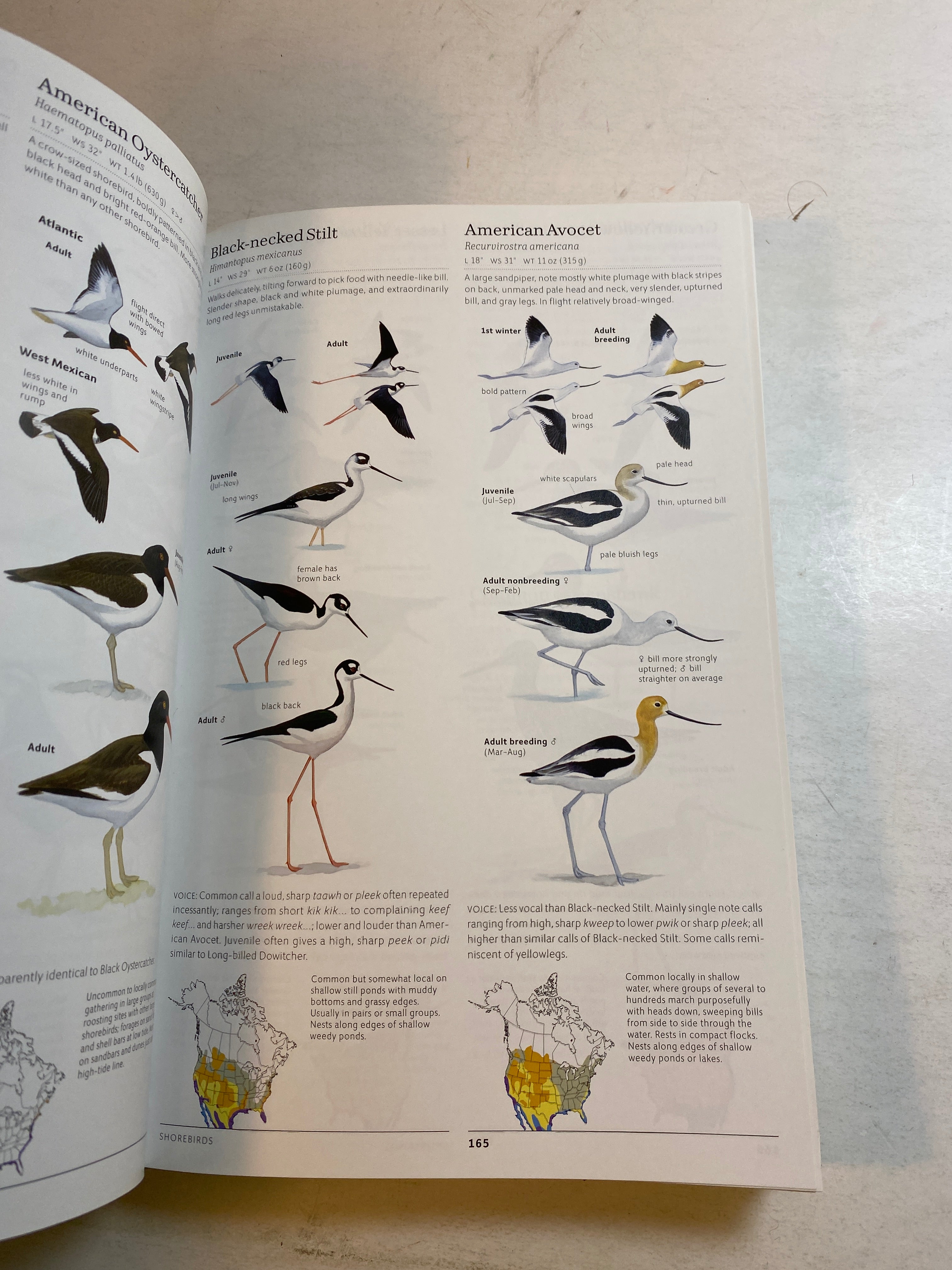 Lot of 2 Sibley Birds Books 2002-2014