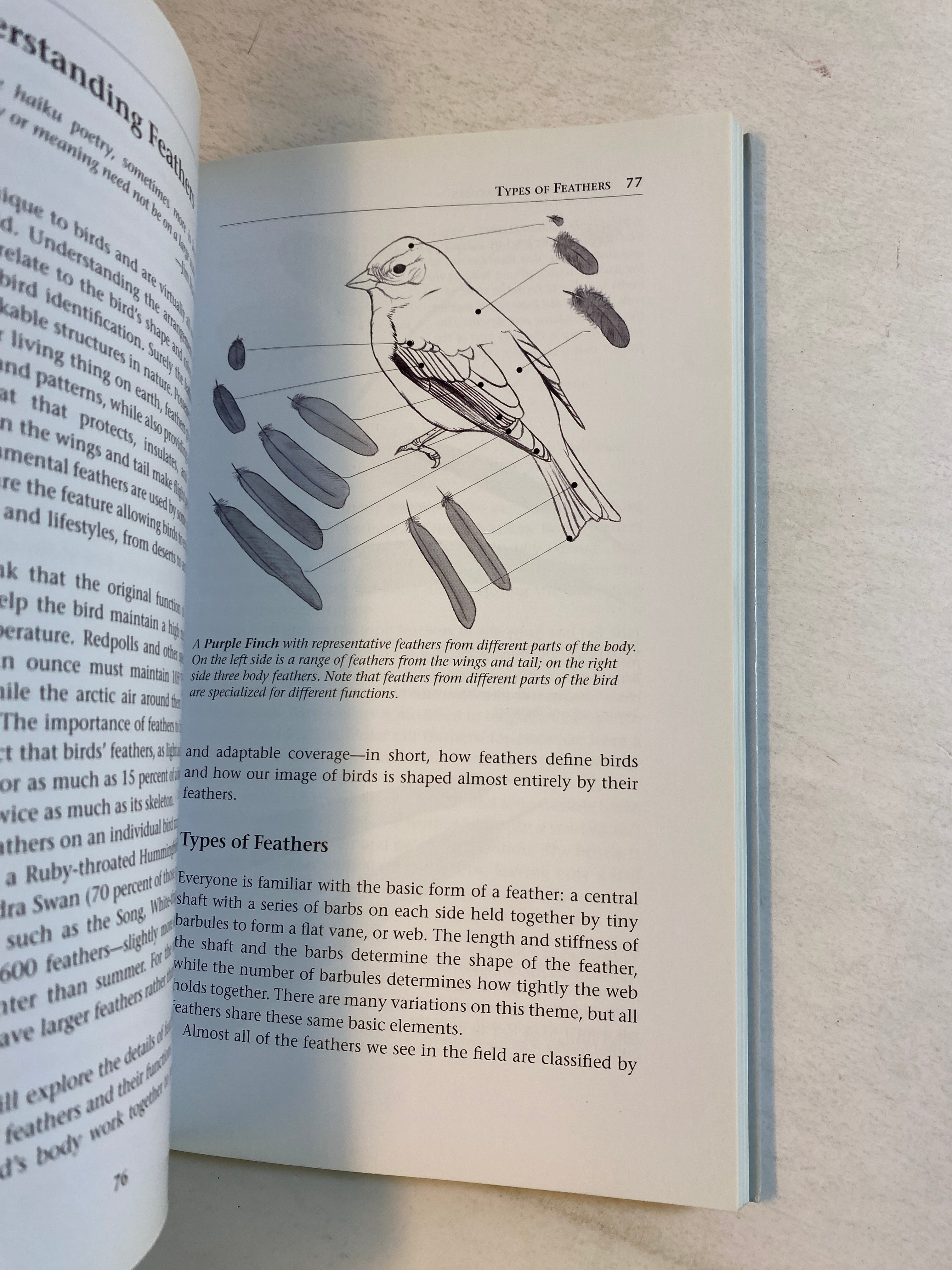 Lot of 2 Sibley Birds Books 2002-2014
