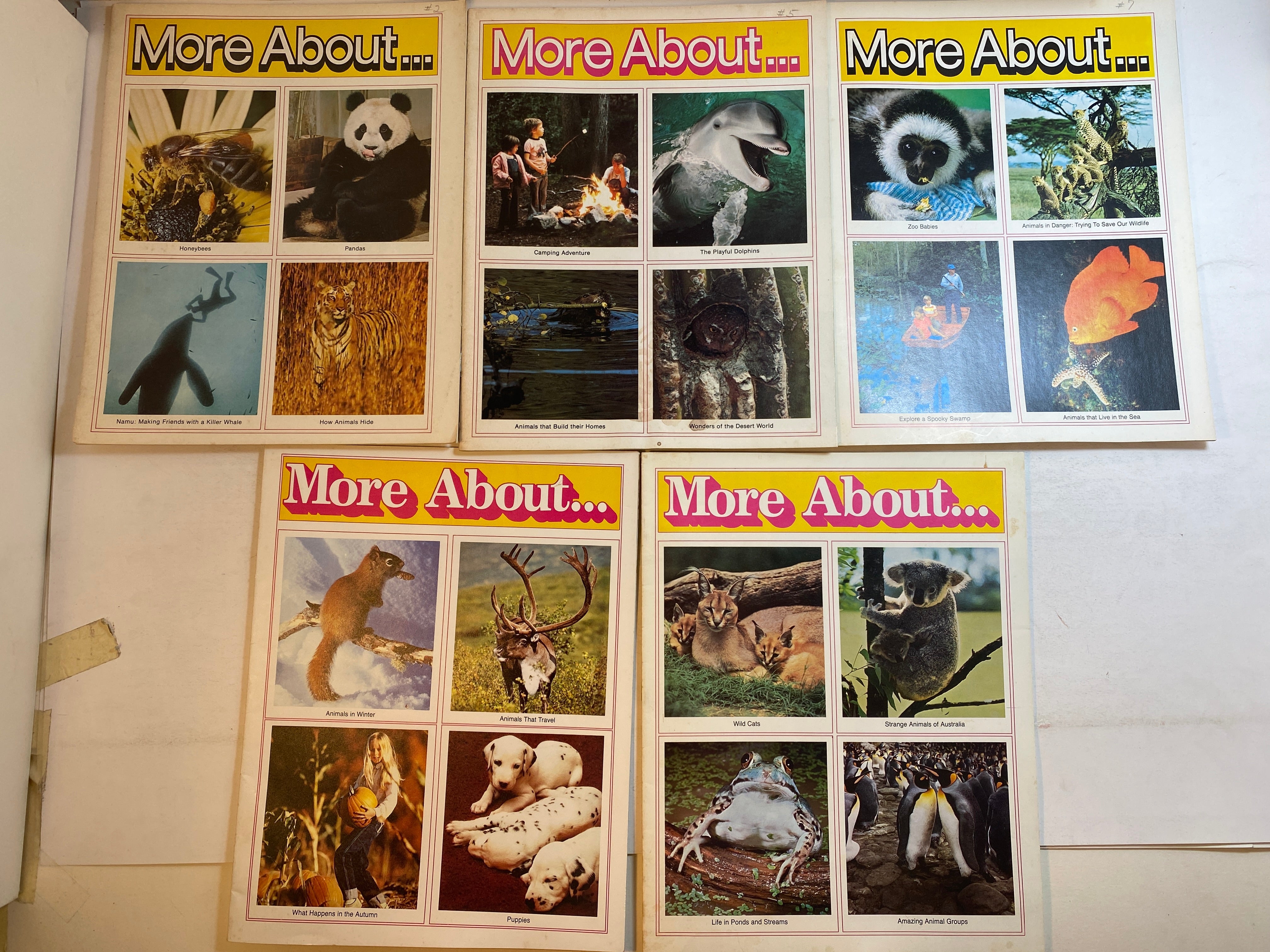 Lot of 9 More About.. Young Explorers Book Series National Geographic 1972-1982