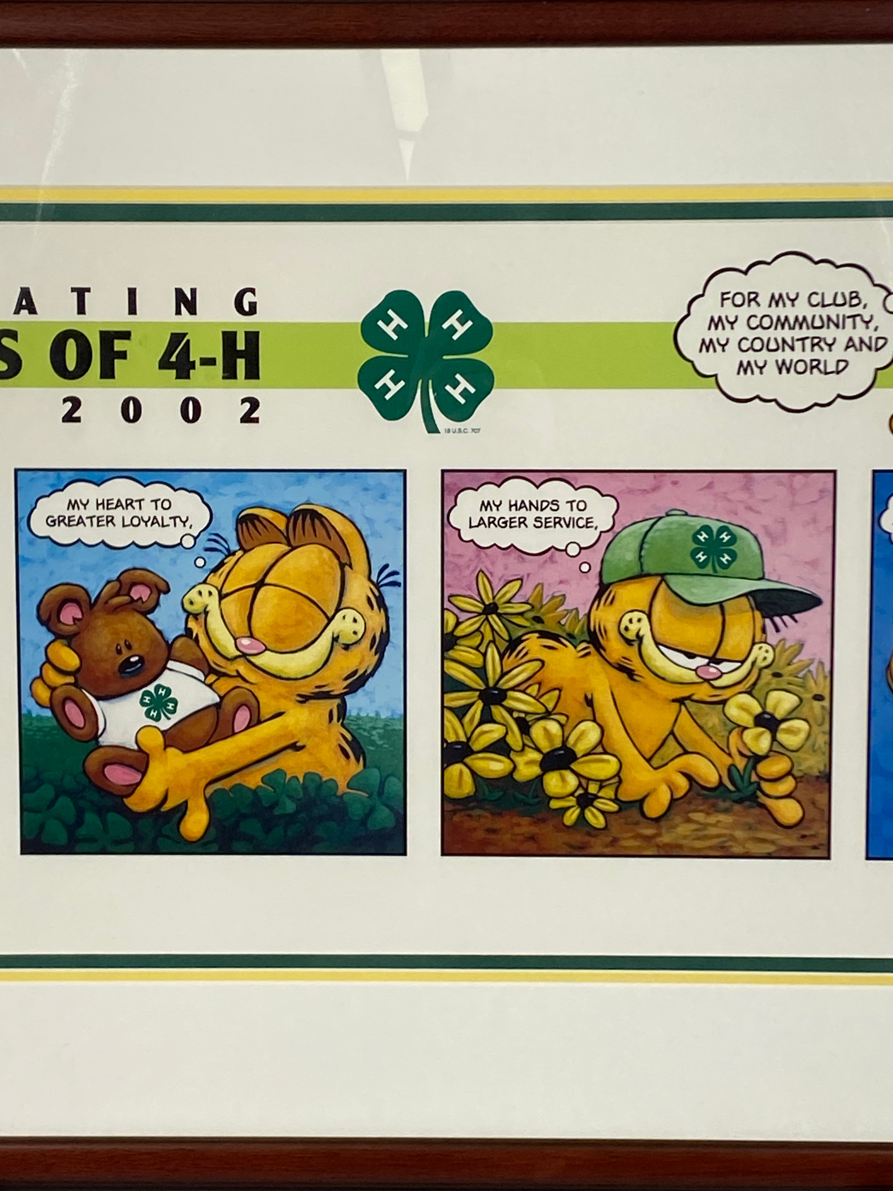 Framed 100 Years of 4-H Garfield Cartoon Artist Proof 4/6 Signed by Jim Davis