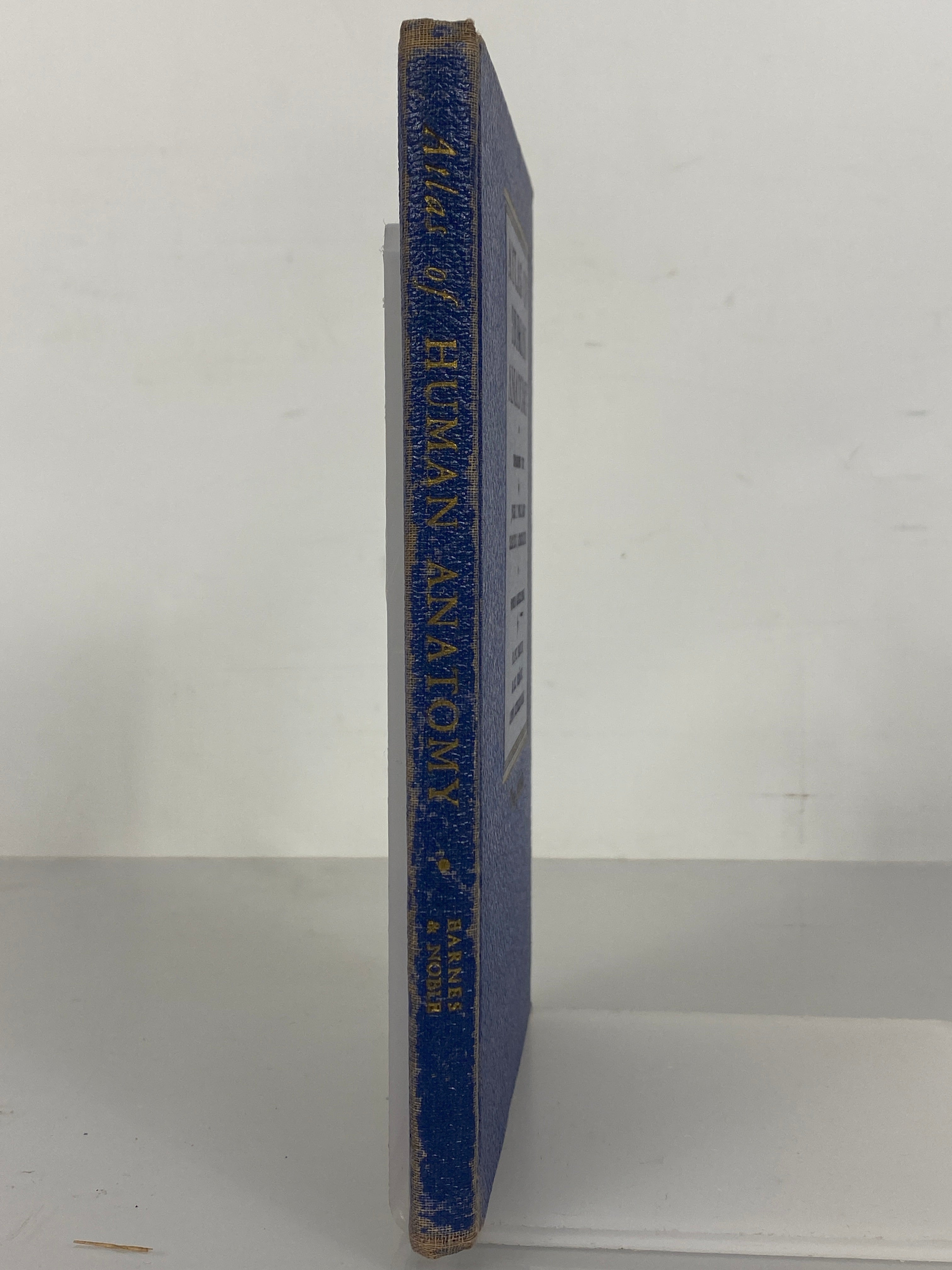 Atlas of Human Anatomy by Williams/Geschickter 1942 Barnes & Noble HC