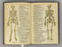 Atlas of Human Anatomy by Williams/Geschickter 1942 Barnes & Noble HC