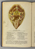 Atlas of Human Anatomy by Williams/Geschickter 1942 Barnes & Noble HC
