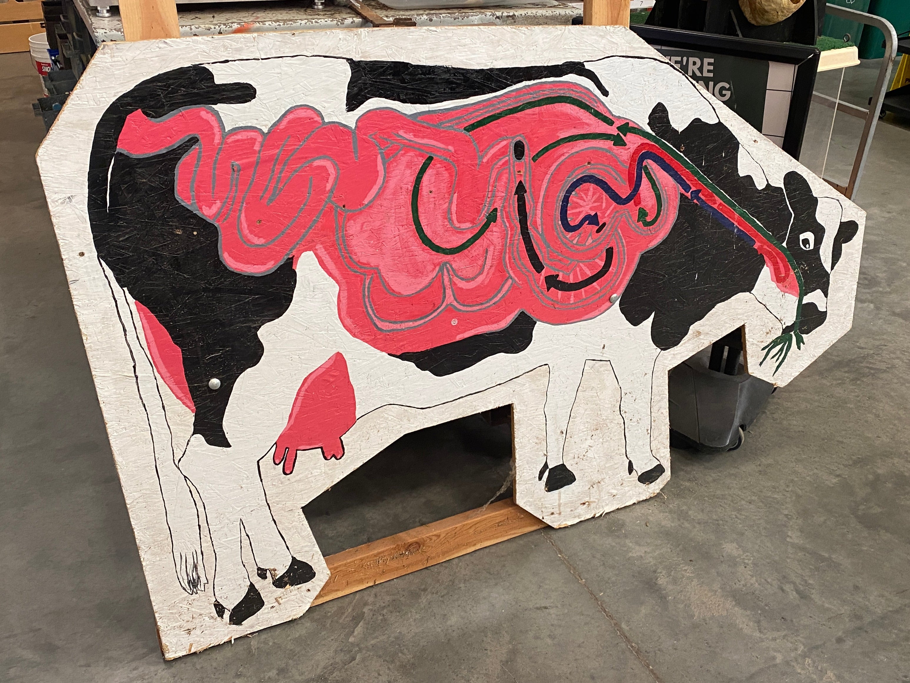 Large Wood Painted Cow Internals Display