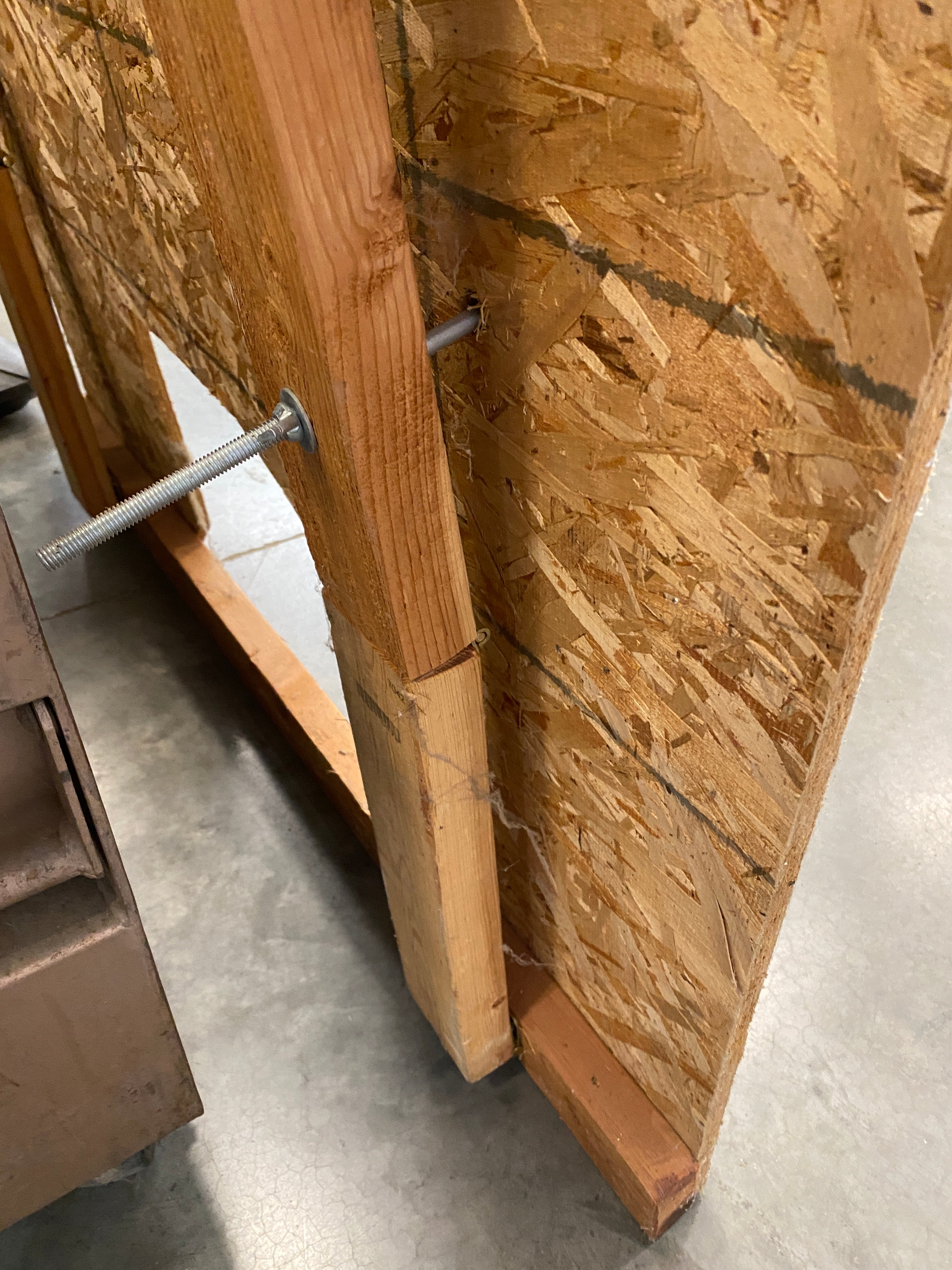 Large Wood Painted Cow Internals Display