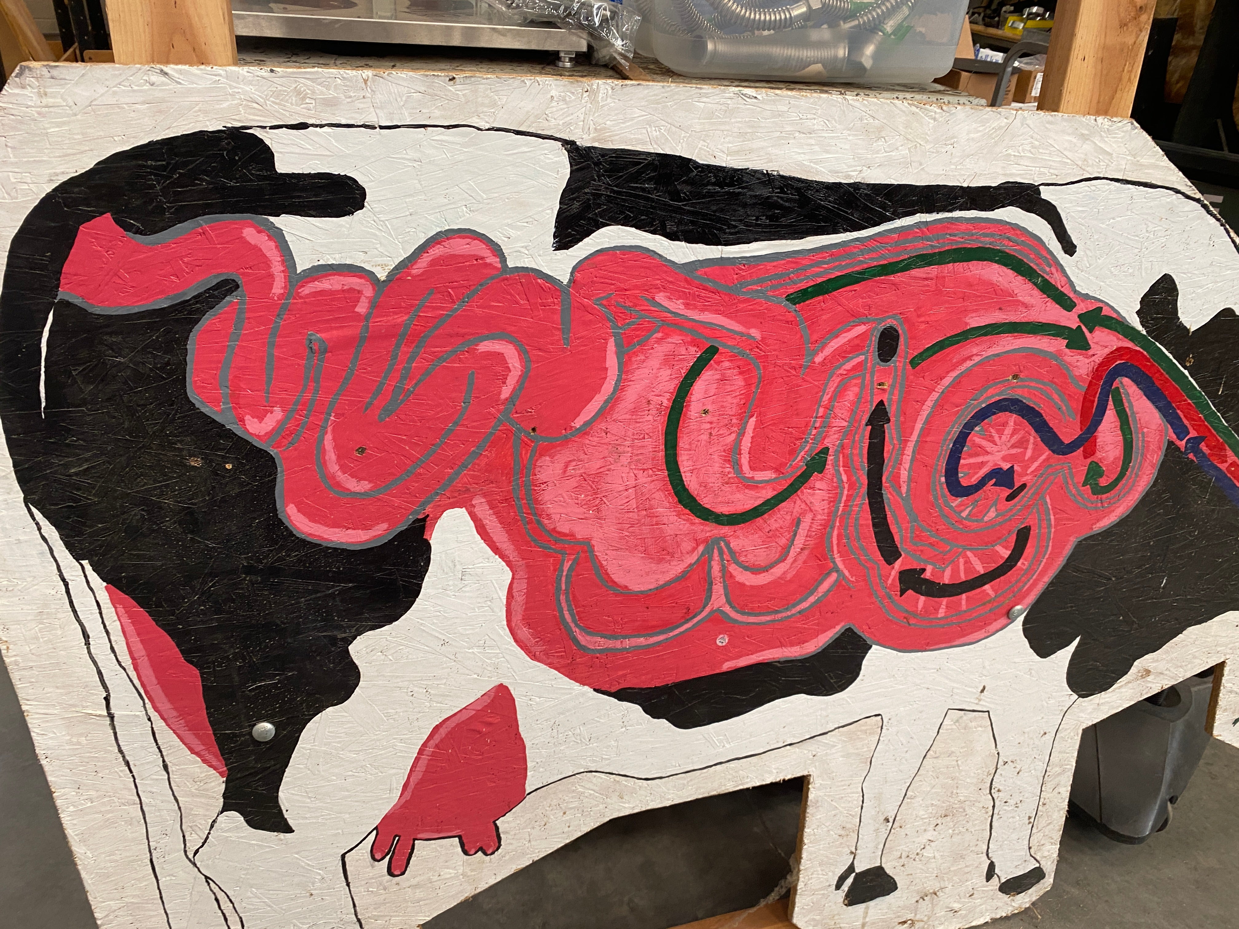 Large Wood Painted Cow Internals Display