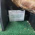 4 Chamber Cow Stomach Taxidermy/Display