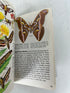 Lot of 3 Vintage "A Golden Guide" Books ~BUTTERFLIES & MOTHS, FISHES, FISHING