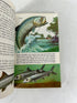 Lot of 3 Vintage "A Golden Guide" Books ~BUTTERFLIES & MOTHS, FISHES, FISHING