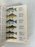 Lot of 3 Vintage "A Golden Guide" Books ~BUTTERFLIES & MOTHS, FISHES, FISHING