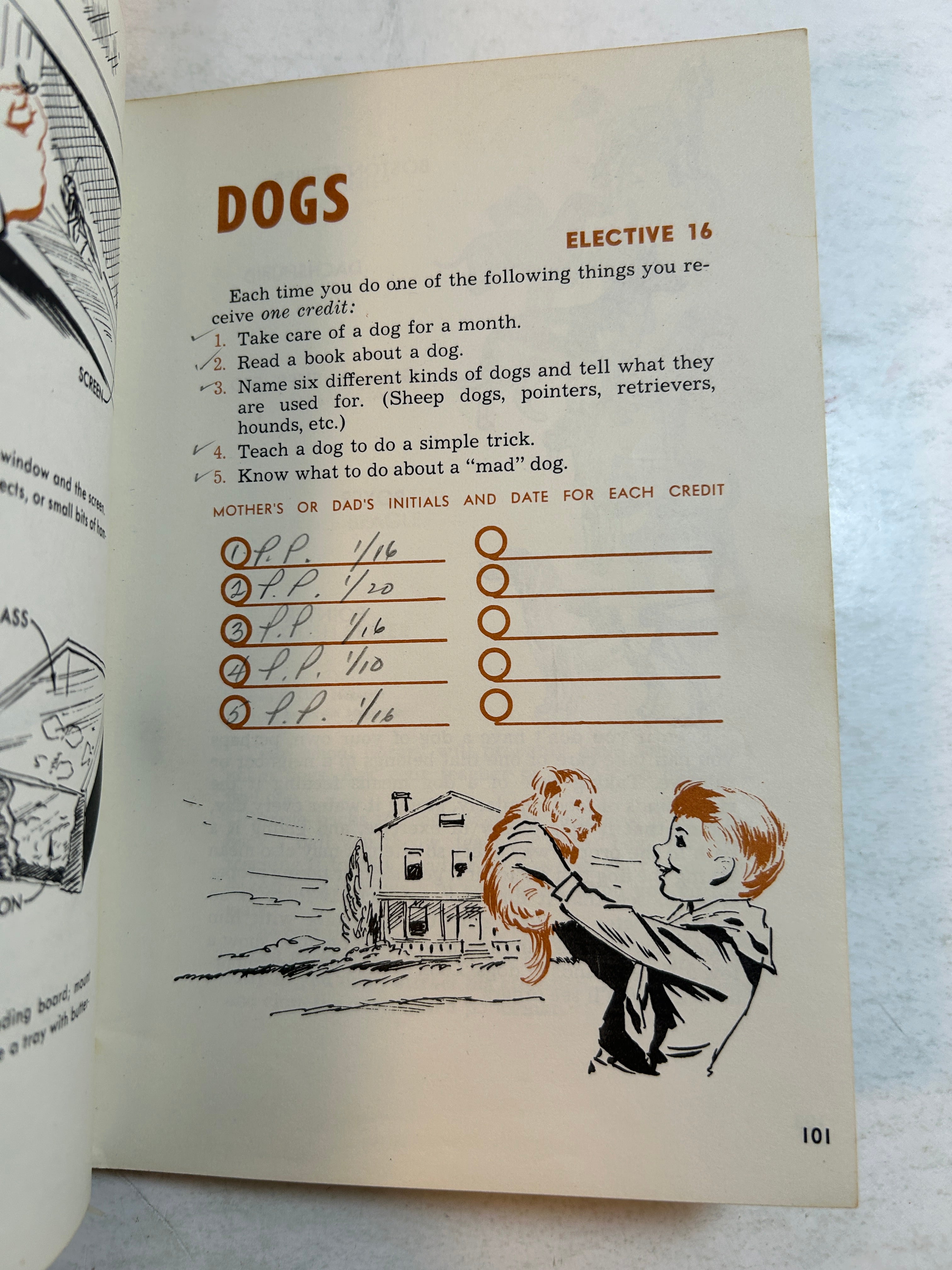 2 Vol Cub Scout Handbook: Bear & Lion/Webelos Boy Scouts of America 1967/1954 SC