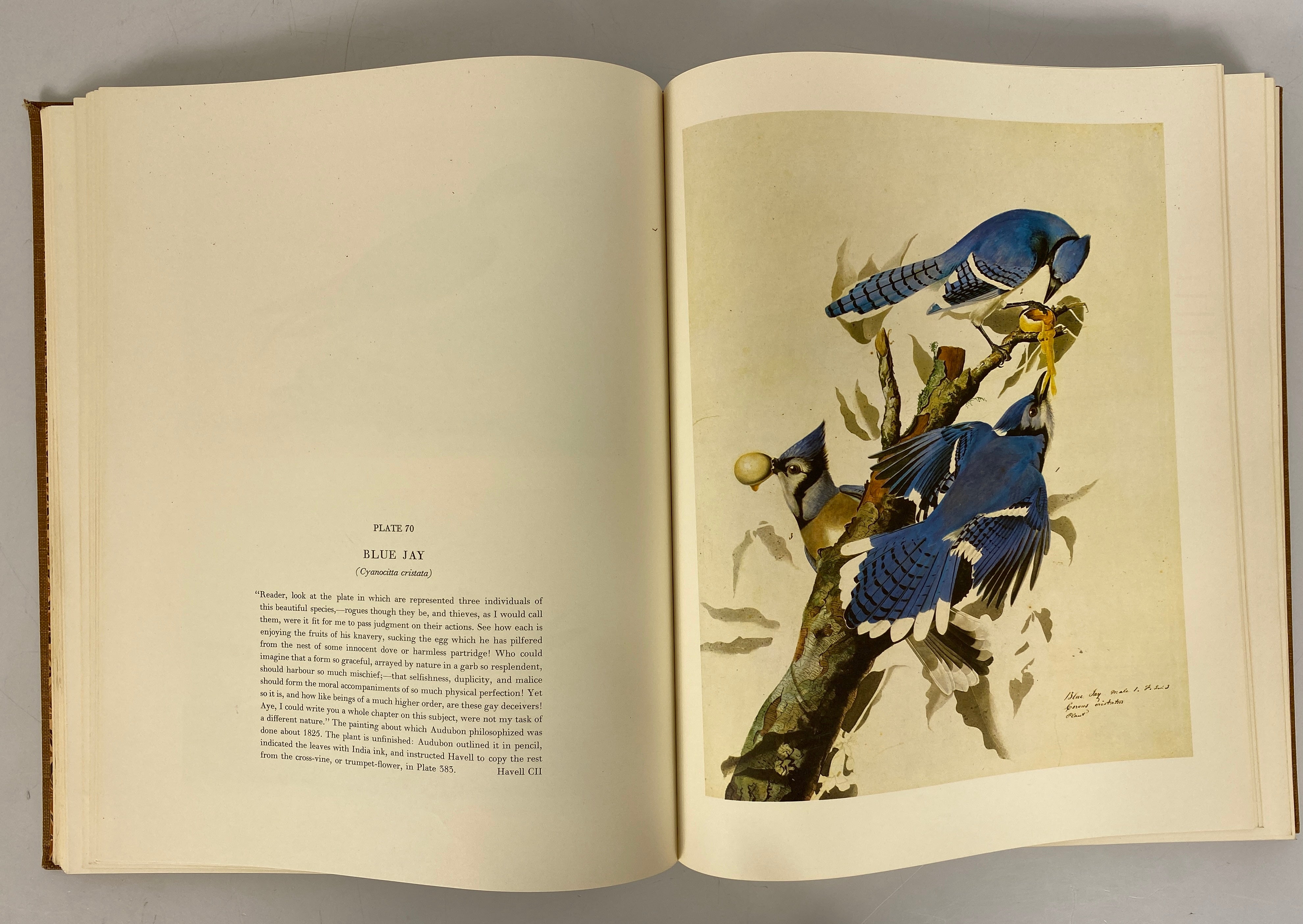 2 Vol Set The Original Water-Color Paintings by John James Audubon 1966 Slipcase