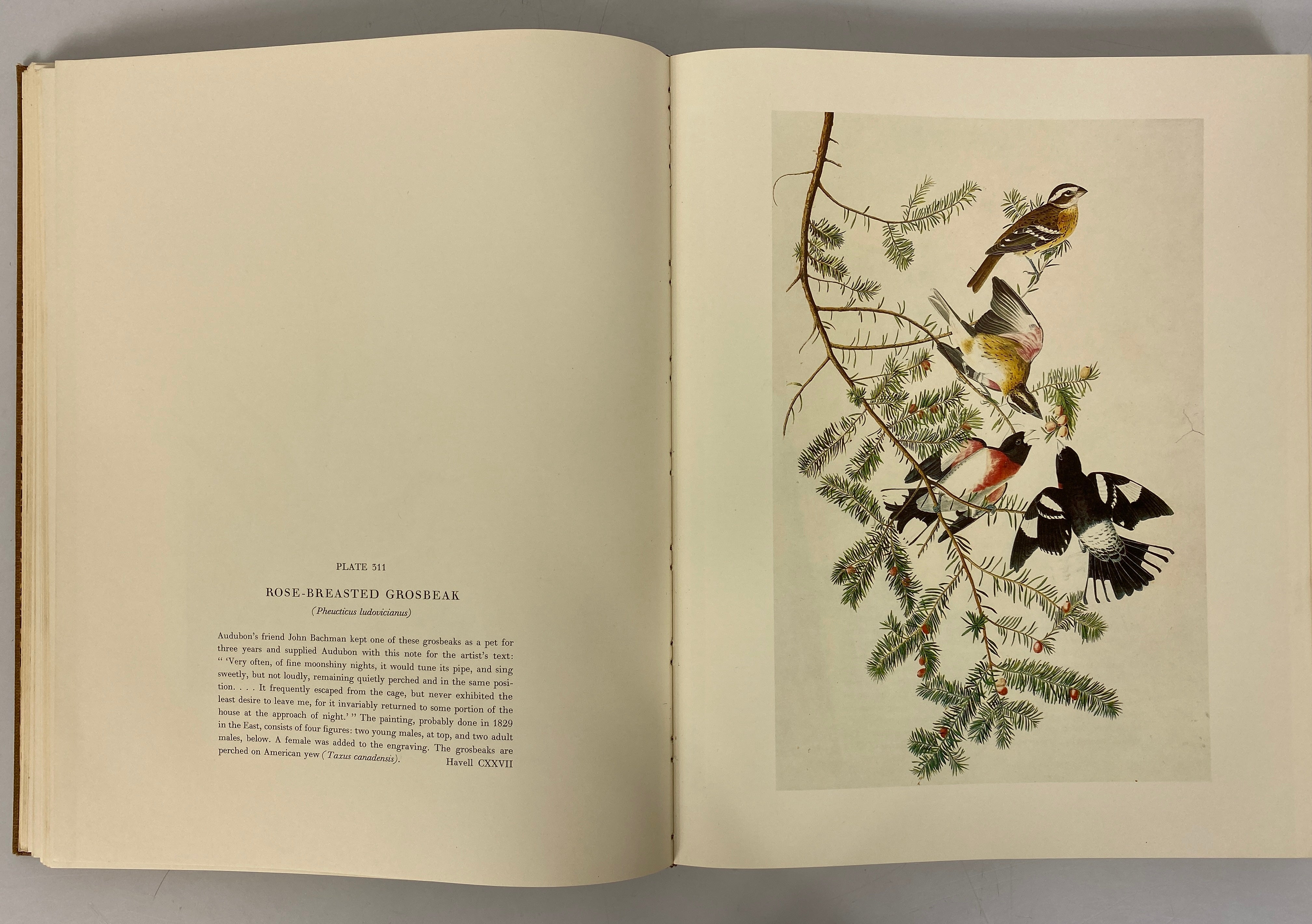 2 Vol Set The Original Water-Color Paintings by John James Audubon 1966 Slipcase