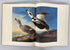 2 Vol Set The Original Water-Color Paintings by John James Audubon 1966 Slipcase