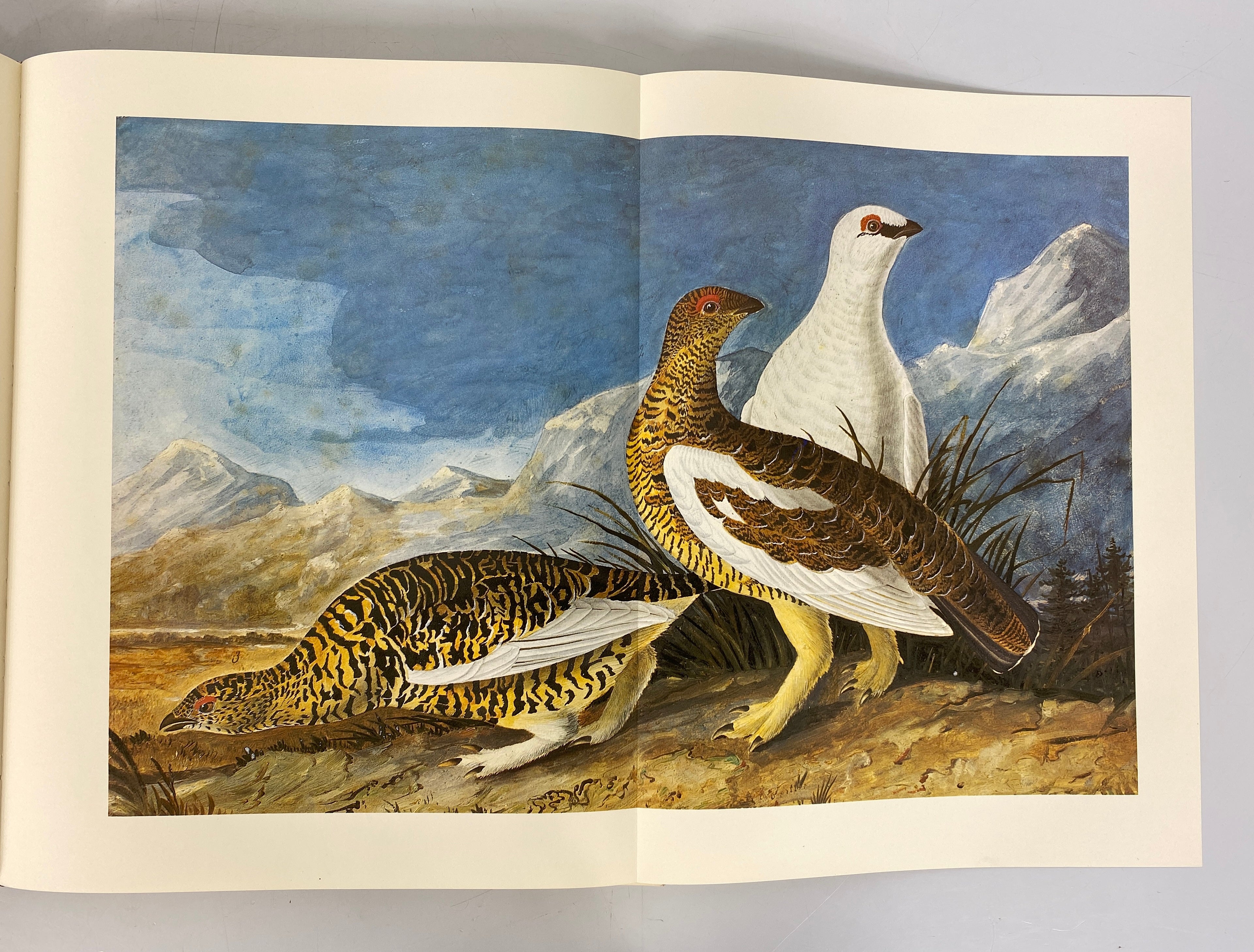 2 Vol Set The Original Water-Color Paintings by John James Audubon 1966 Slipcase