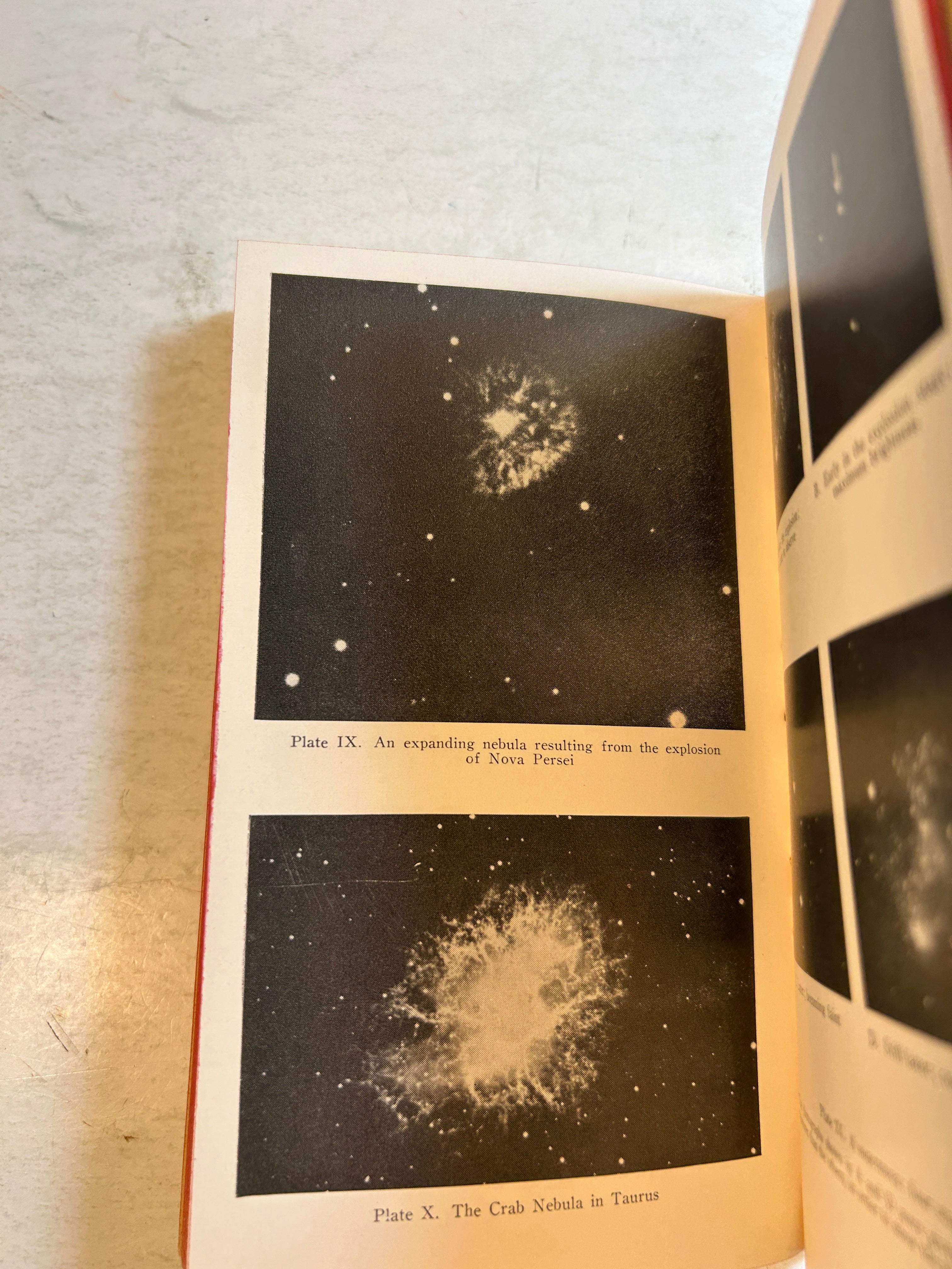 Lot of 2 Mentor Books: Origin of the Species & The Creation of the Universe SC