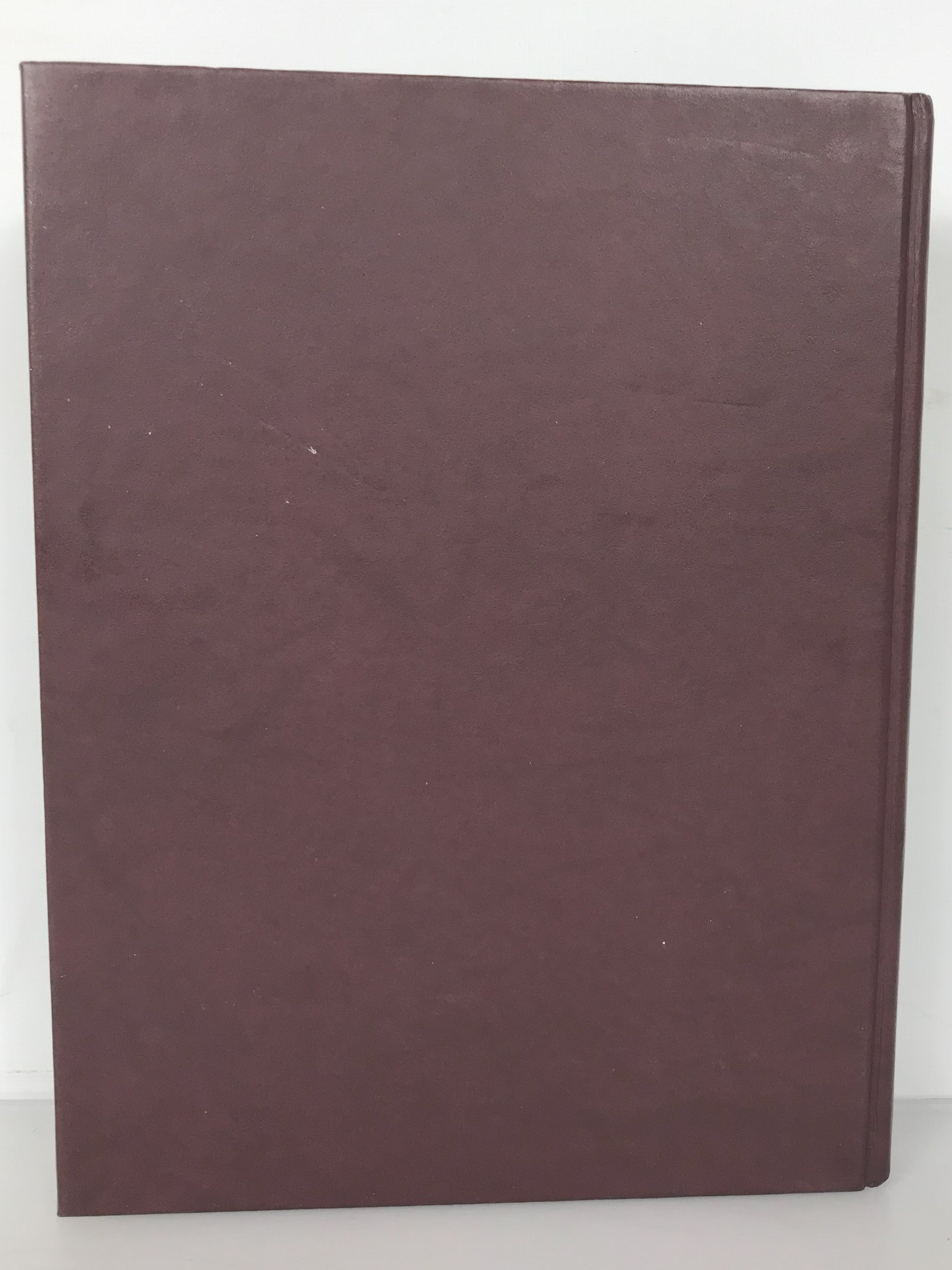 1993 Okemos Michigan  High School Yearbook