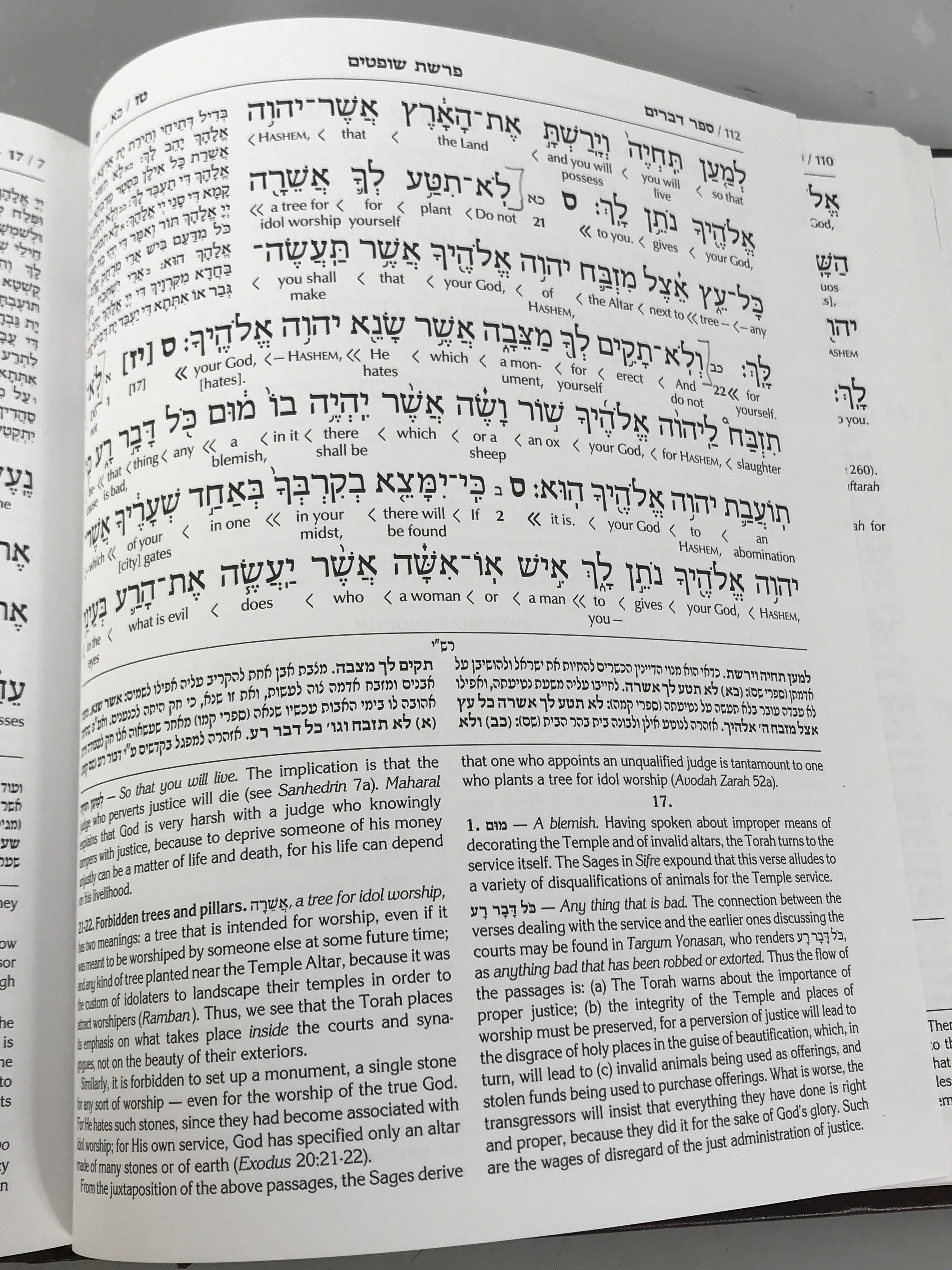 Lot of 3 The Schottenstein Edition Interlinear Chumash Vol 2, 3, 5 2008-2009 HC