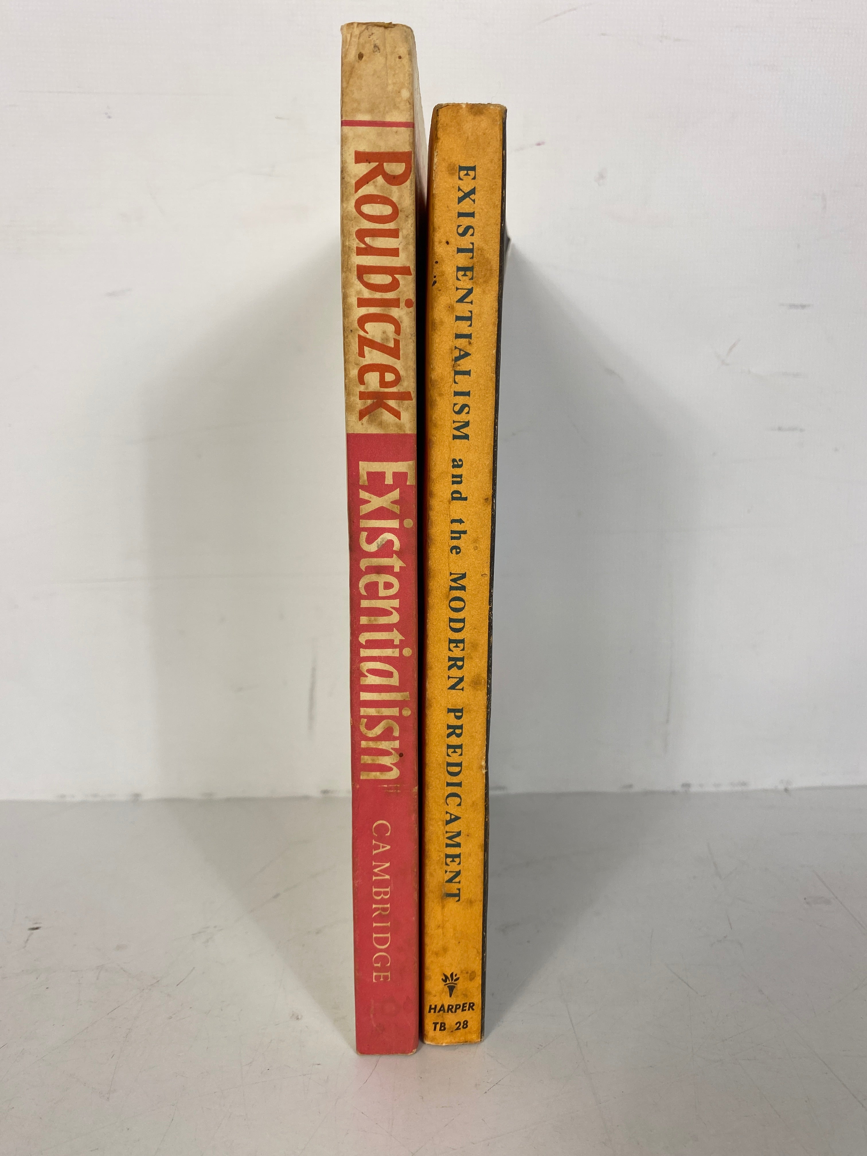 2  Vols: Existentialism For & Against/Existentialism & the Modern Predicament SC