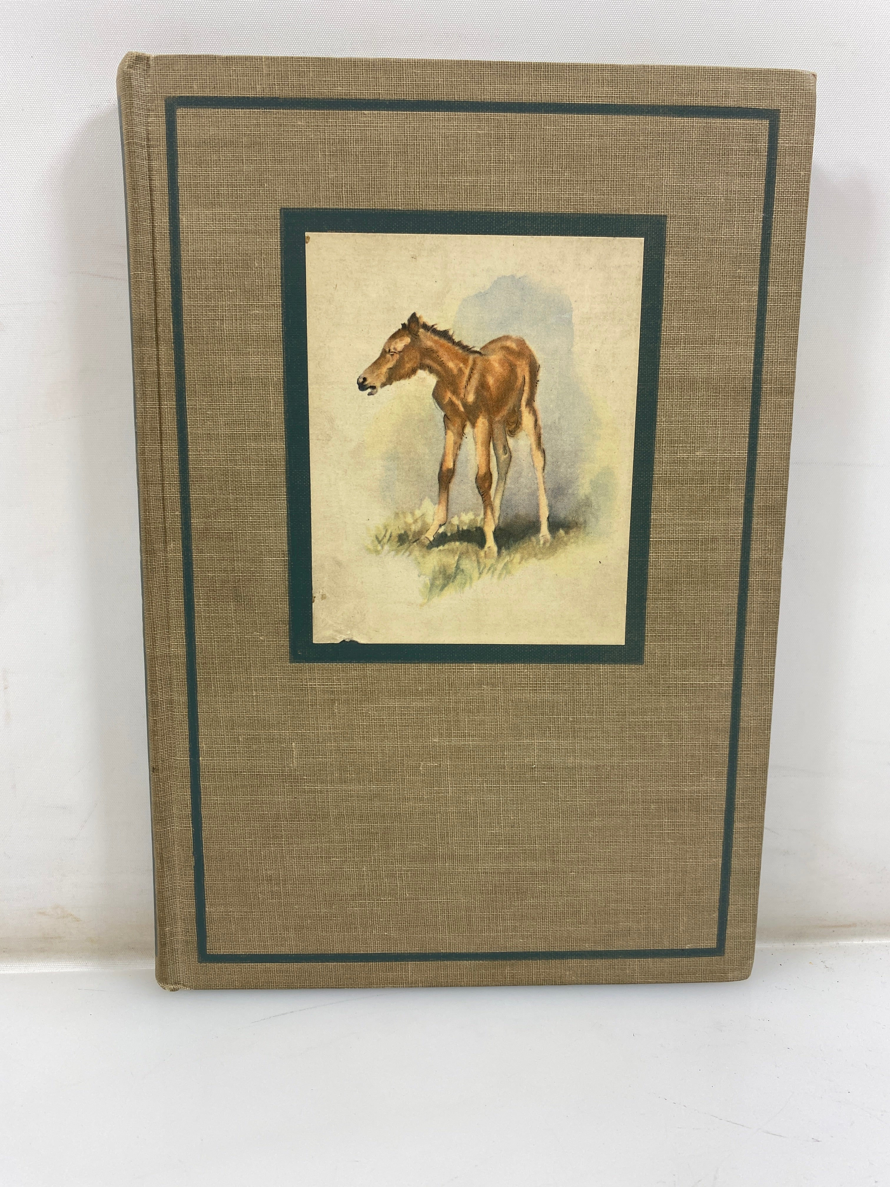 The Red Pony by Steinbeck The Viking Press 1945 HC