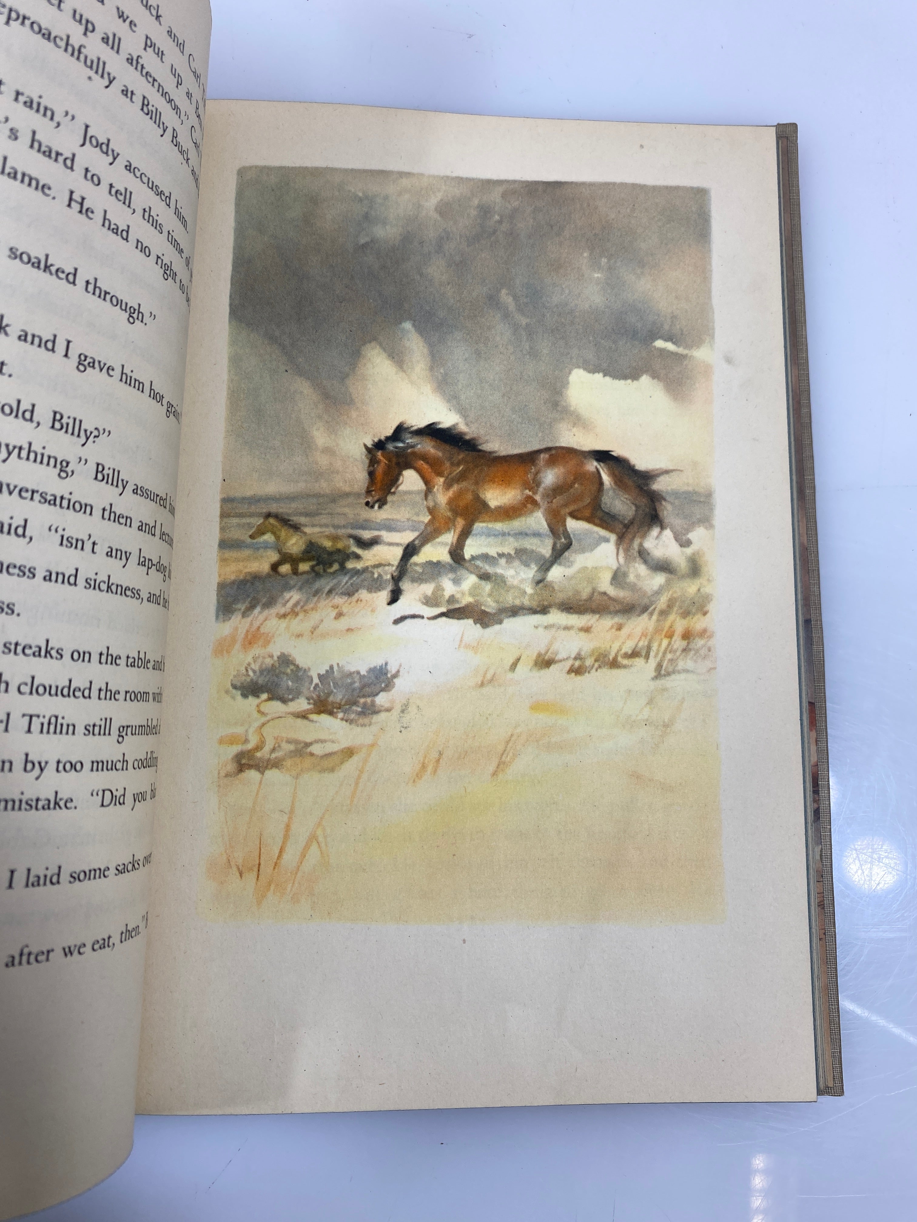 The Red Pony by Steinbeck The Viking Press 1945 HC