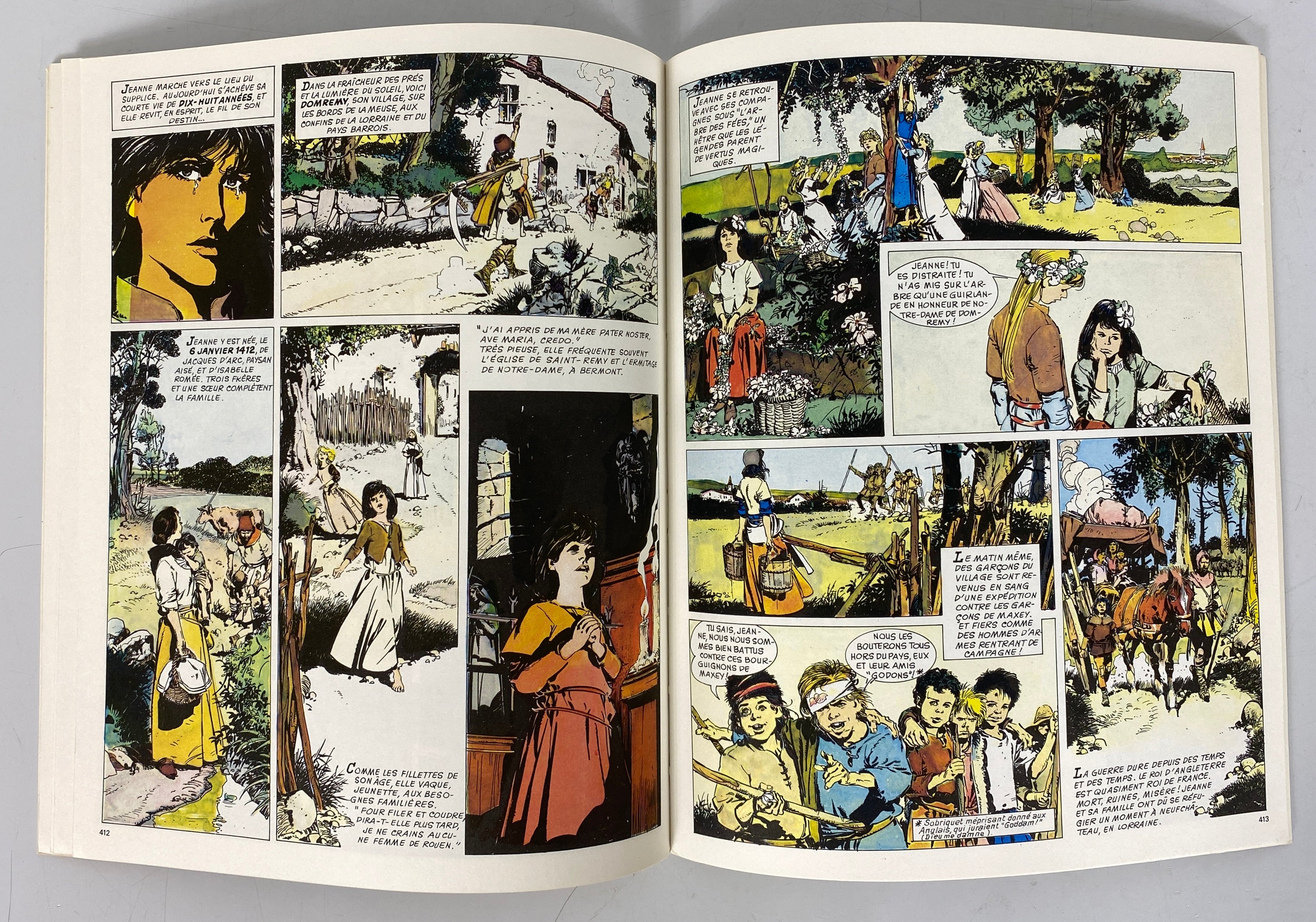 Histoire De France en Bandes Dessinees Vol. 1-10 Larousse