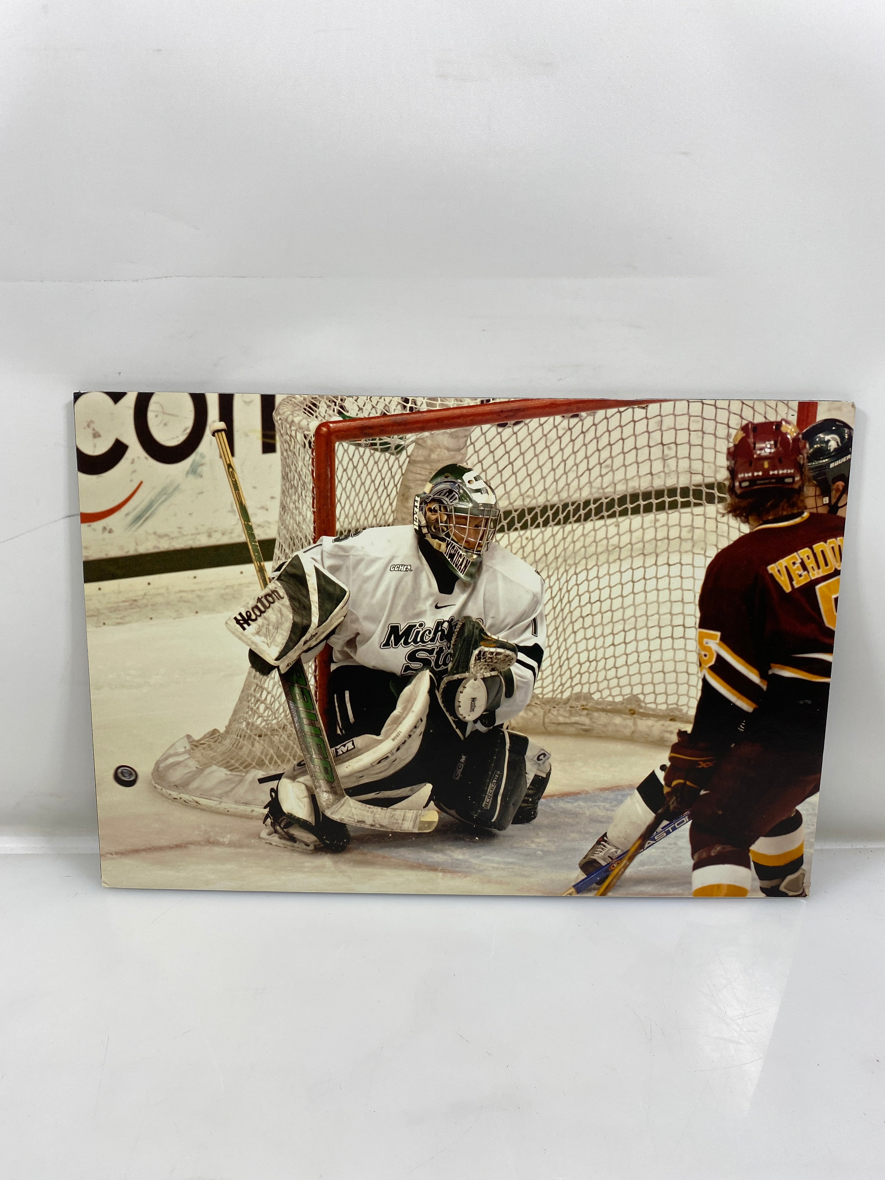 MSU Hockey Photo on Board Foam
