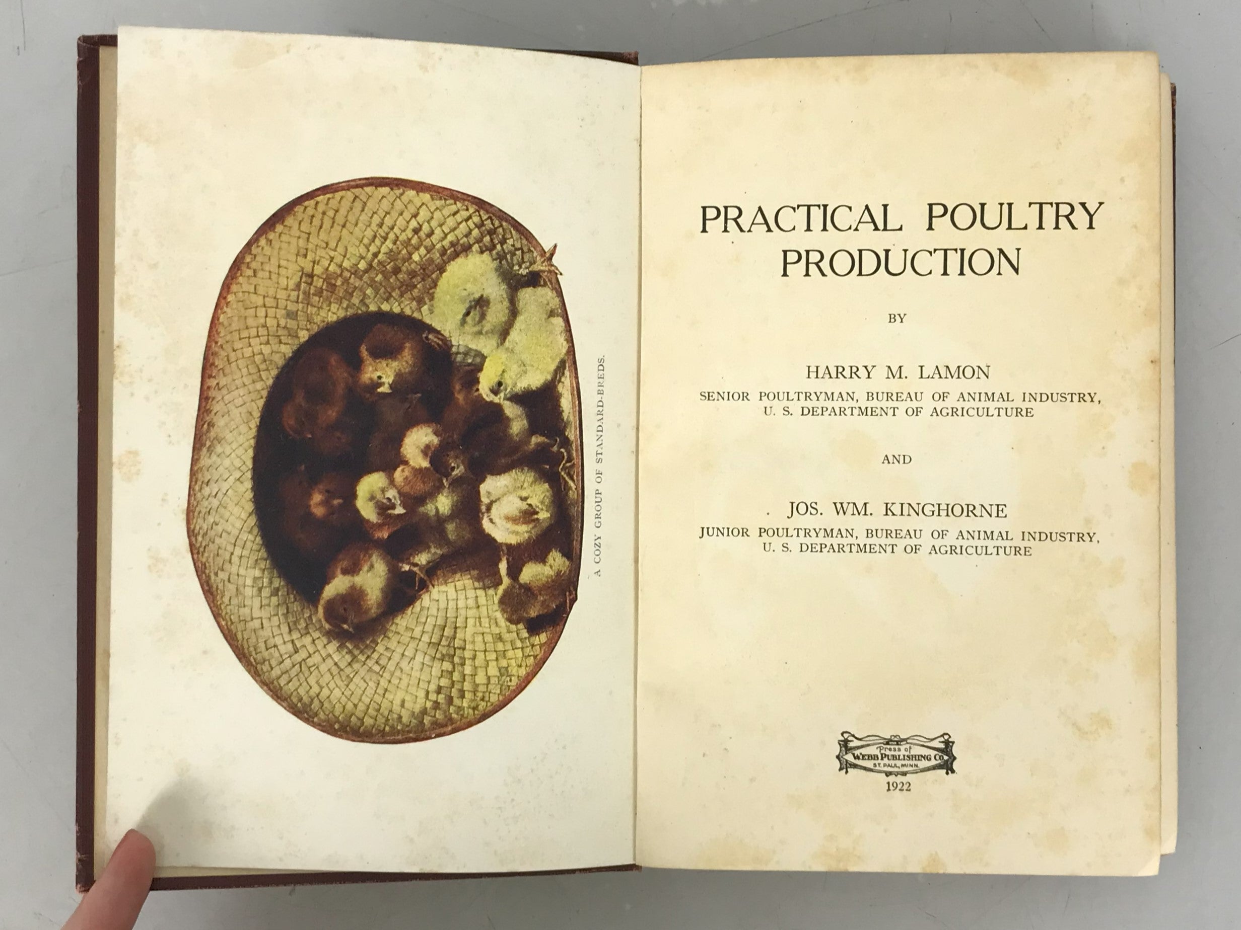 Practical Poultry Production by Lemon and Kinghorne 1922 HC