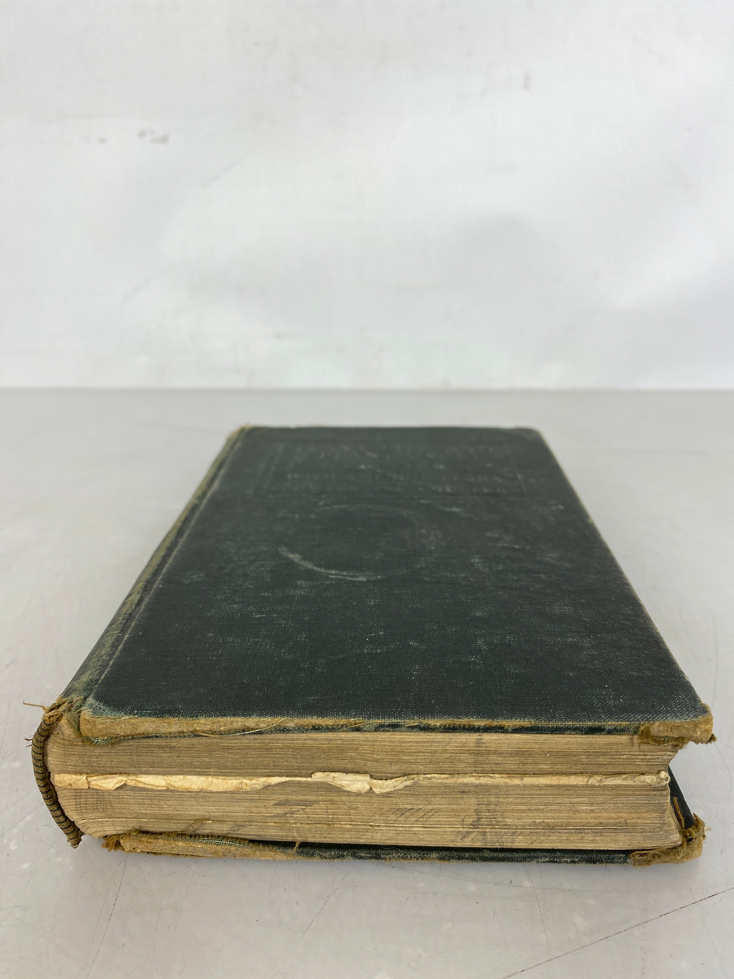 Plant Life and Plant Uses With A Spring Flora by Coulter 1915 HC