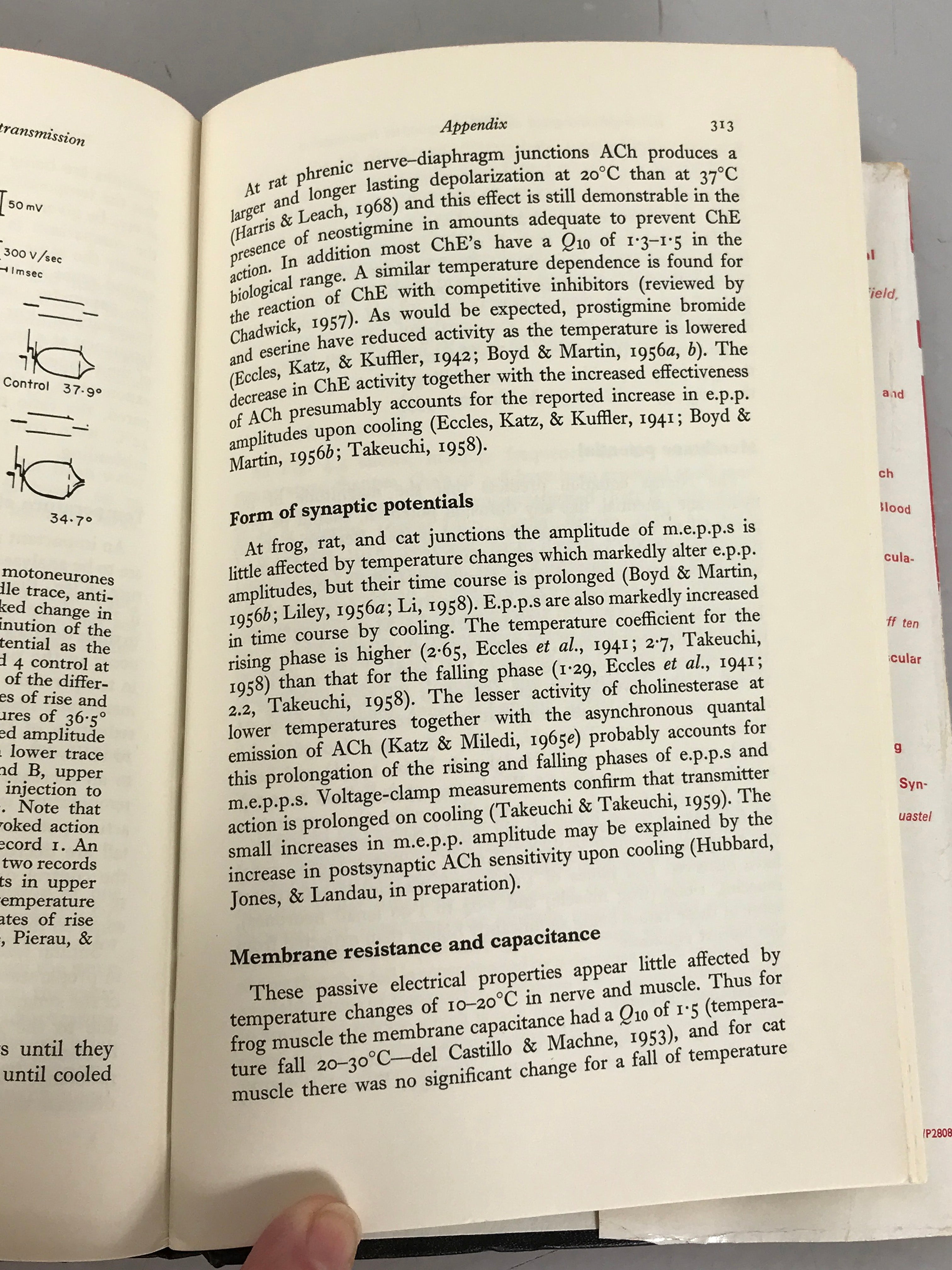 Lot of 2 Physiology of Synapses Books: Electrophysiological Analysis of Synaptic Transmission (1969) and The Physiology of Synapses (1964) HC DJ