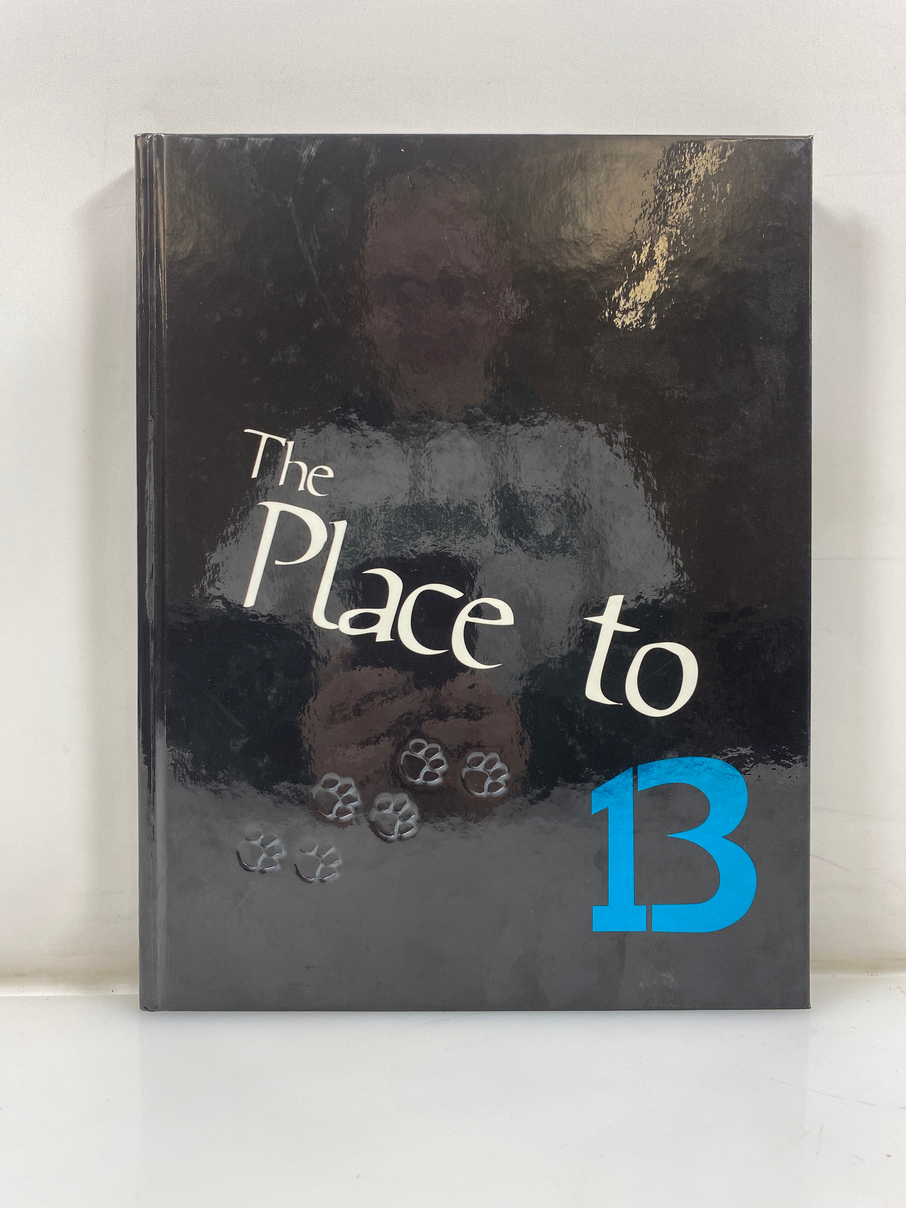 2013 Lansing Catholic High School "Reflections" Yearbook HC