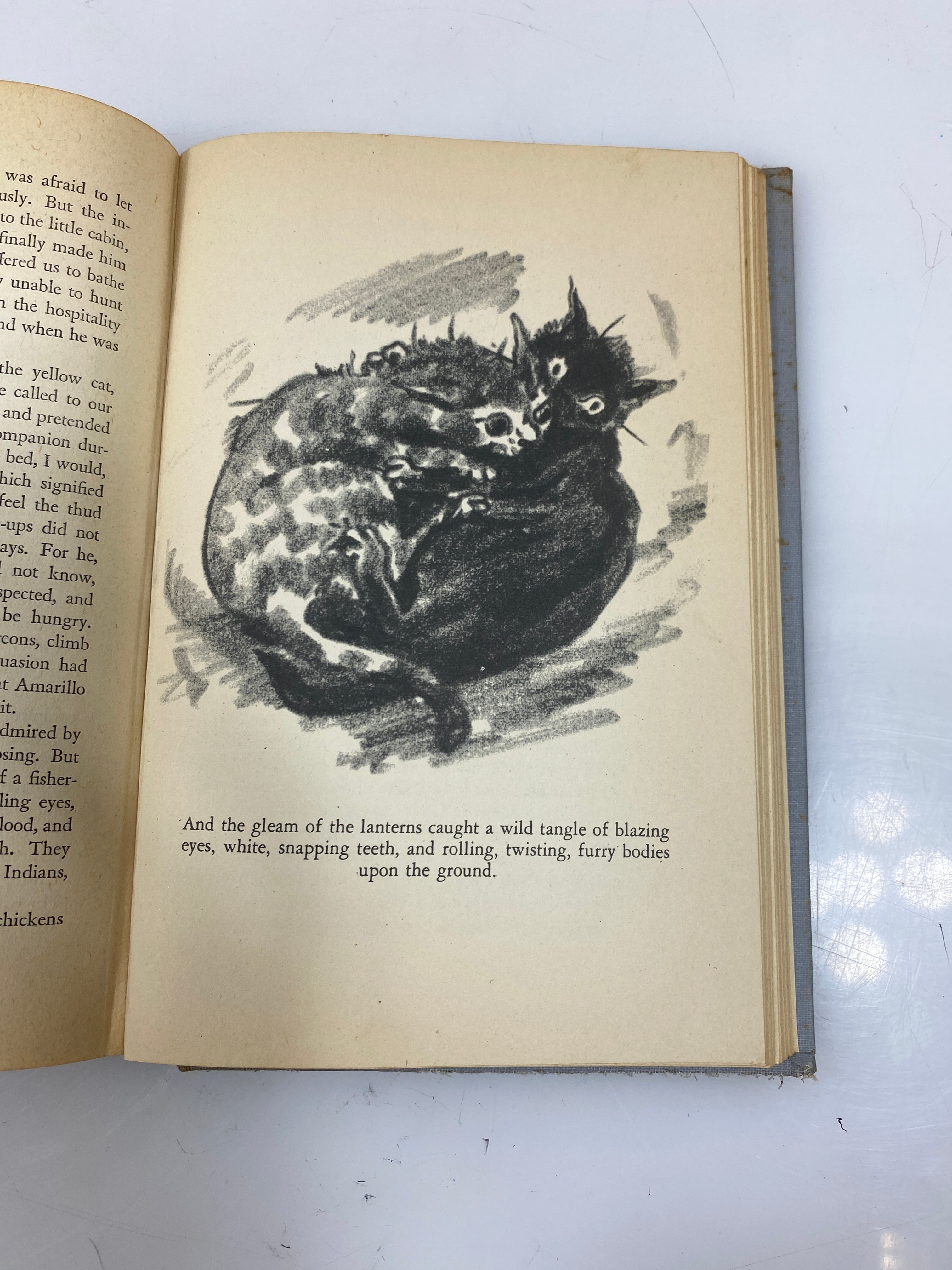 A Treasury of Cat Stories Compiled by Era Zistel 1944 HC