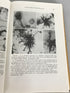 Lot of 2 Charles C Thomas Science Books: Biology of Neuroglia (1958) and Studies on the Diencephalon (1966) HC DJ