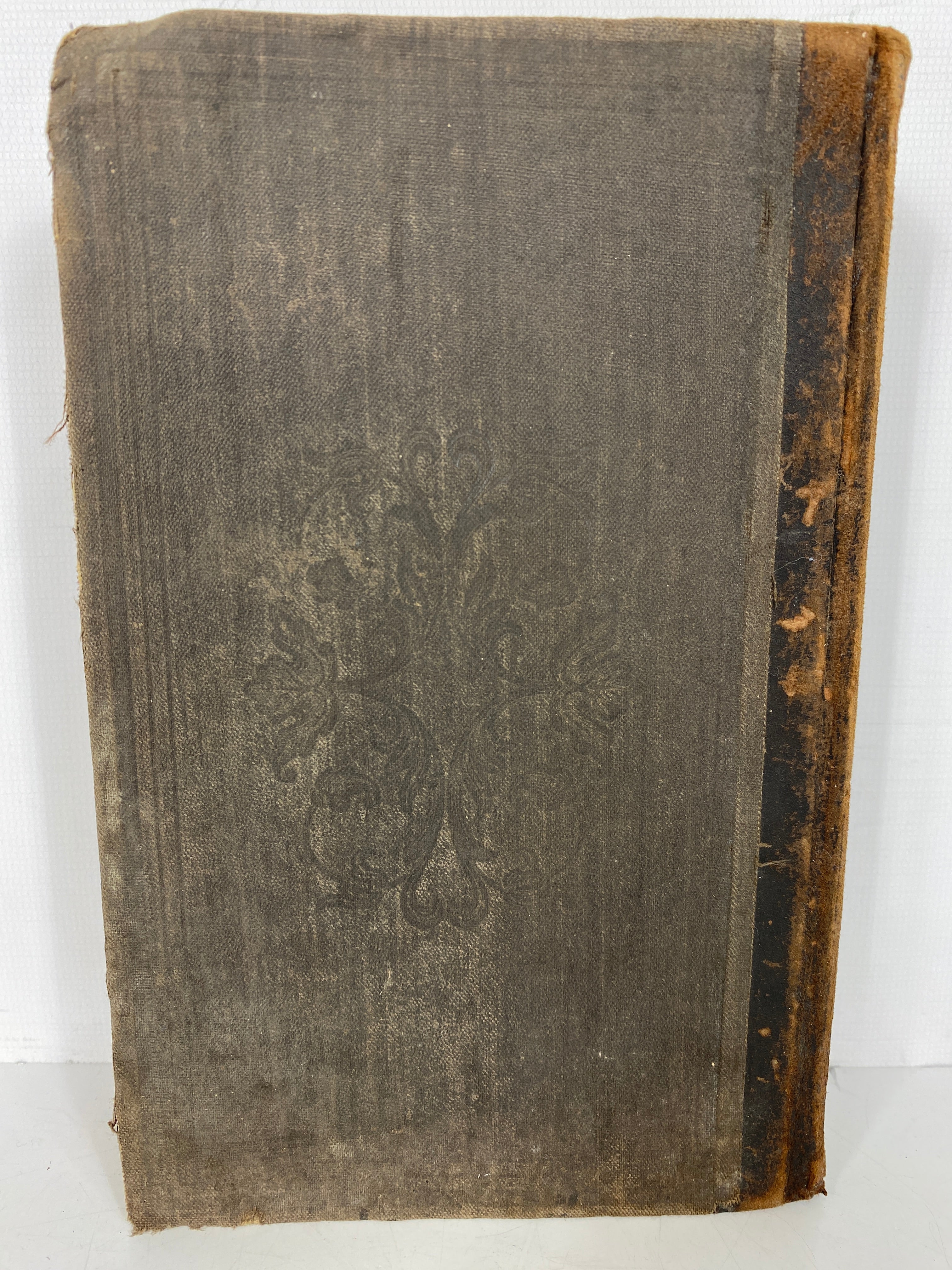 The American Botanist & Florist A. Wood 1870 Antique HC