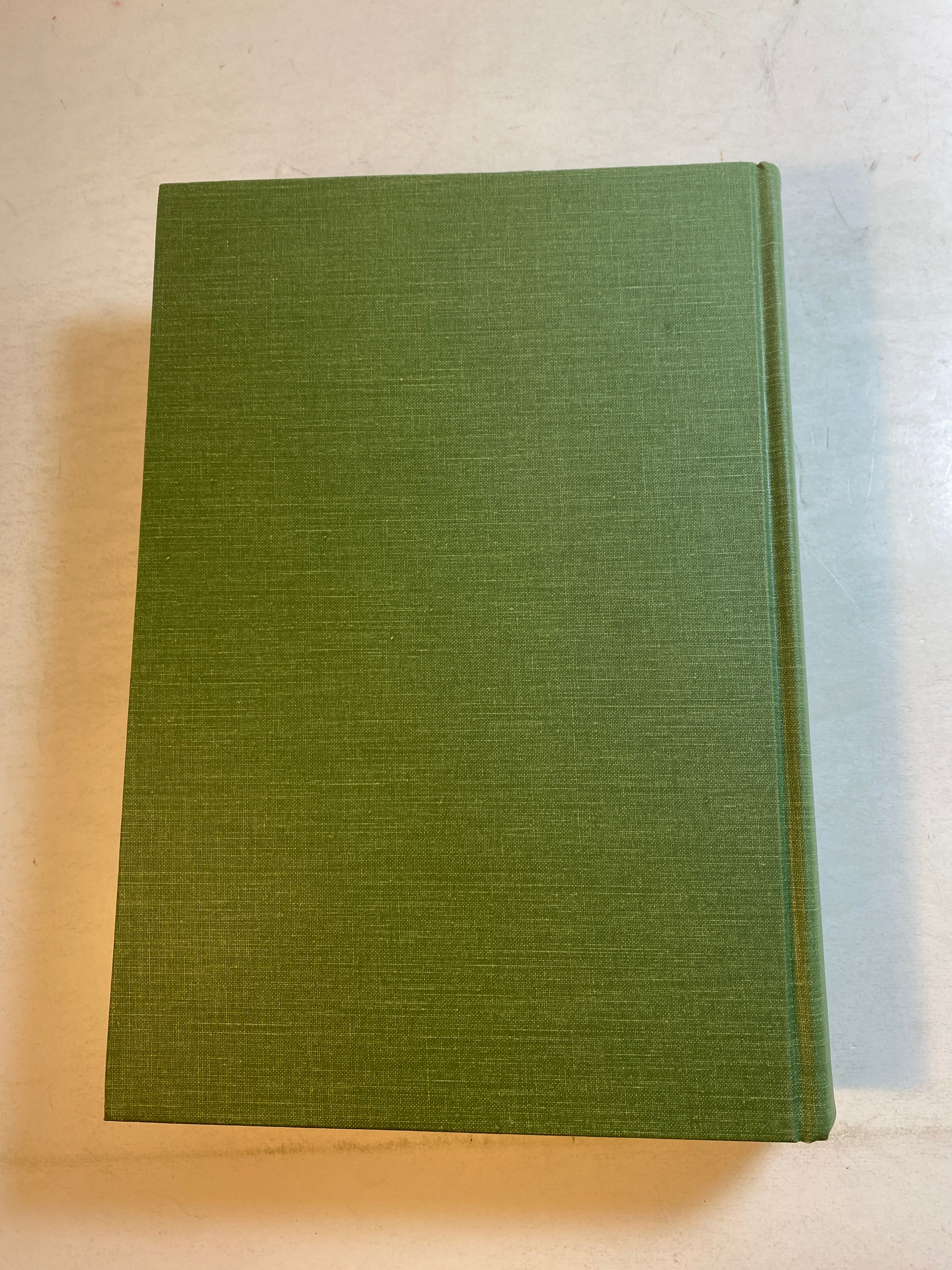 Michigan UP Superior Heartland Backwoods History Rydholm 1989 Volume 2