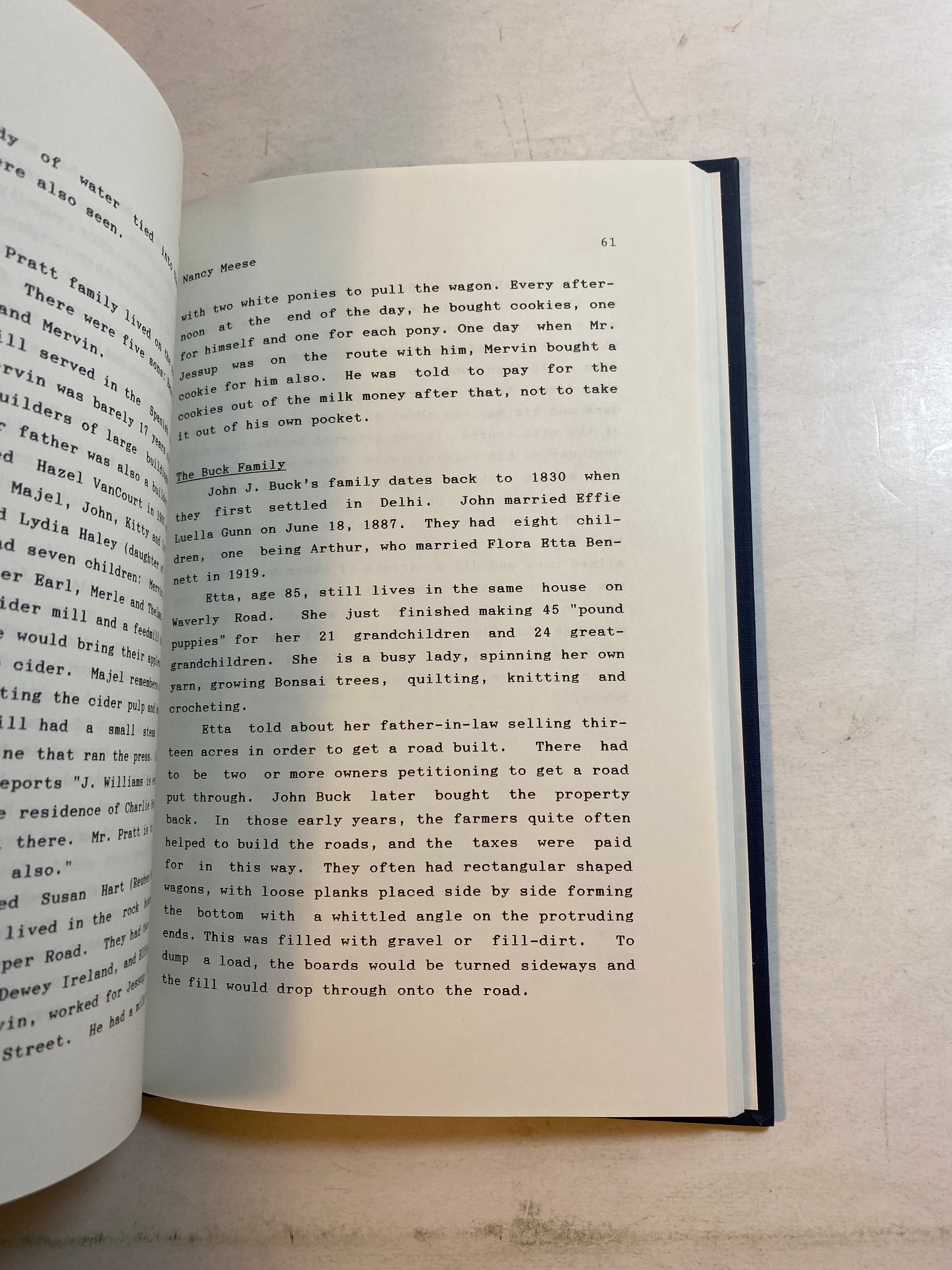 Michigan Delhi History Sesquicentennial 1987 HC