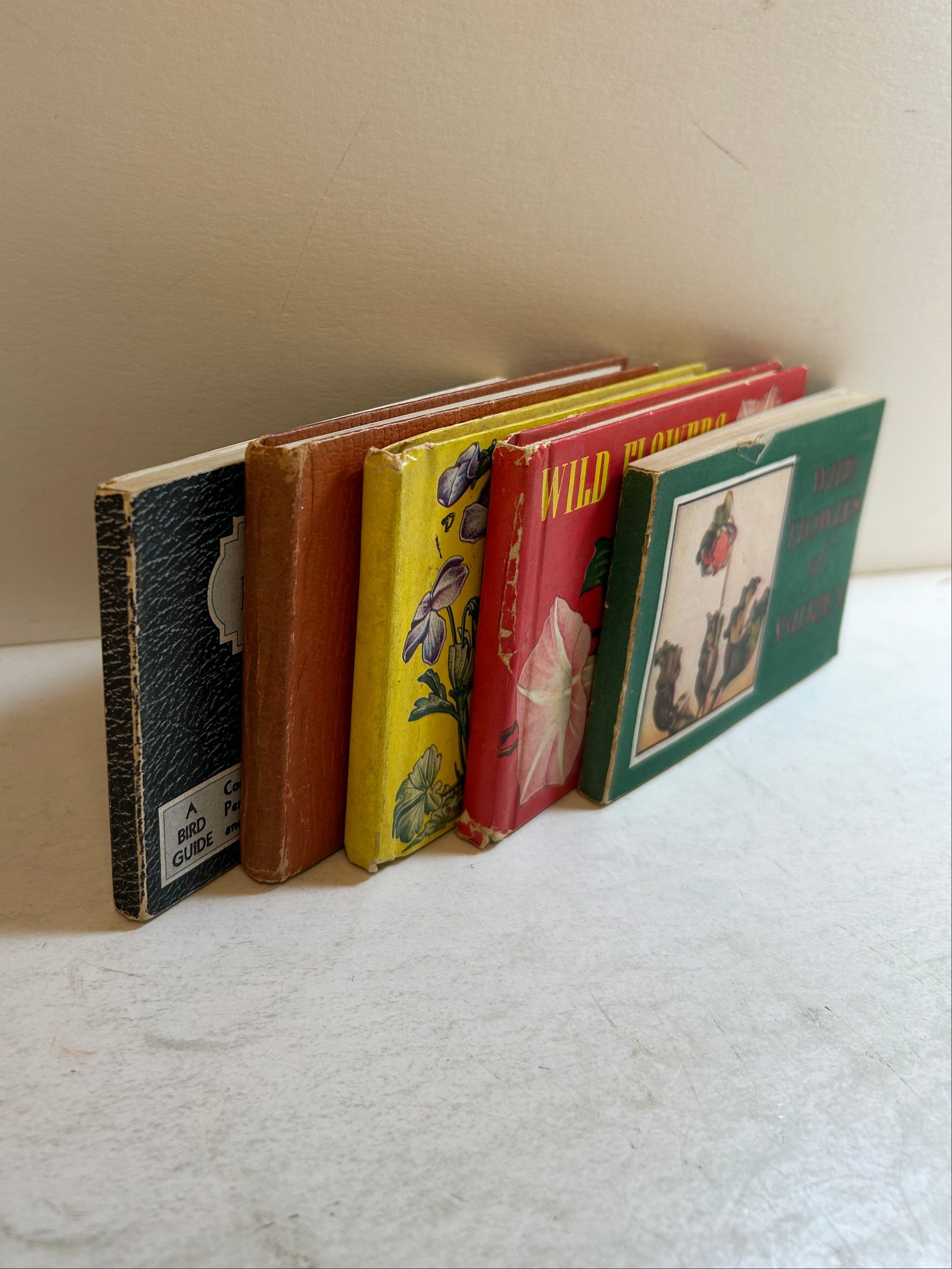 Lot of 5: Mini Guidebooks to Wildflowers and Birds 1931-45
